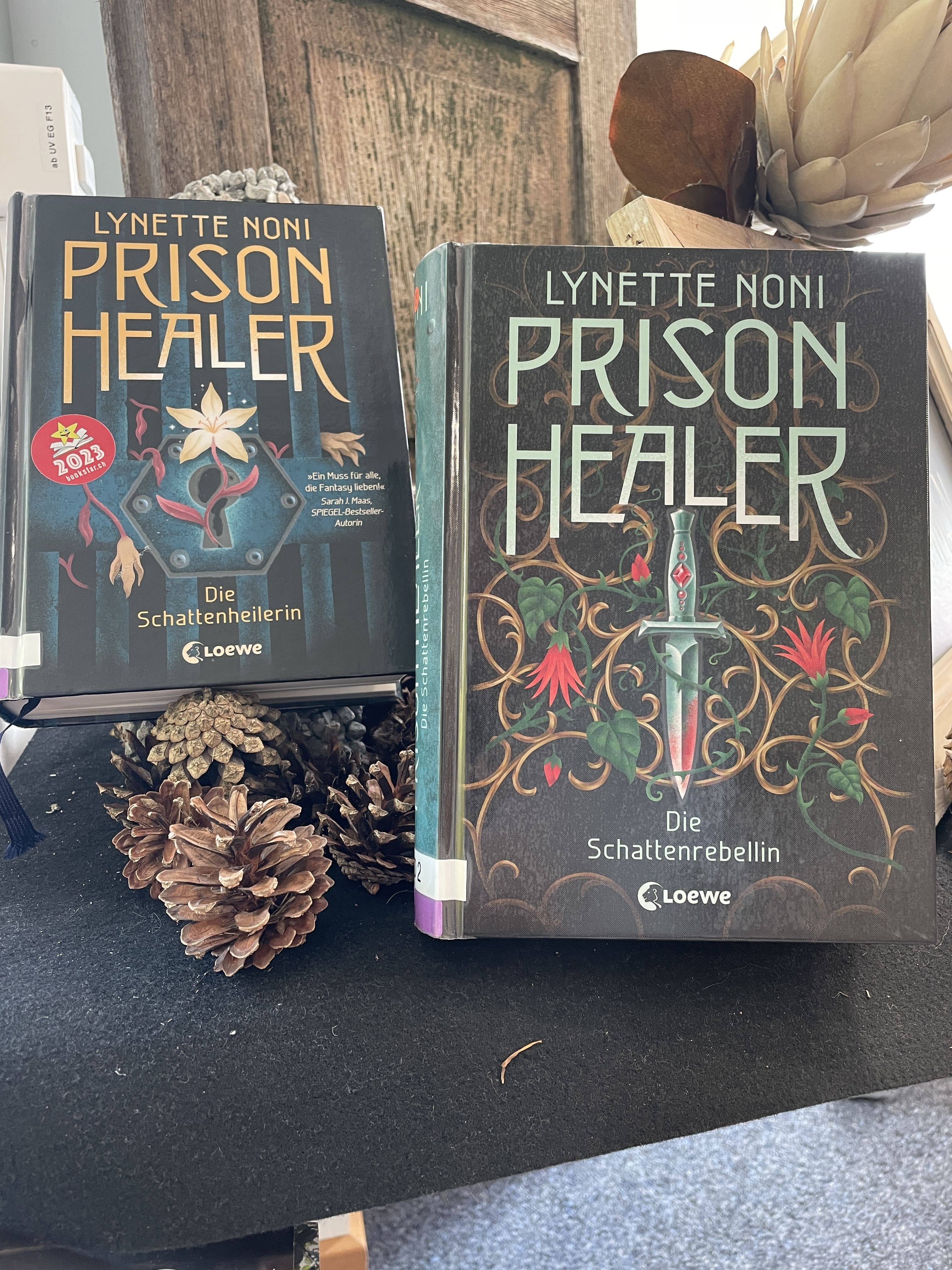 Lynette Noni, Prison Healer
