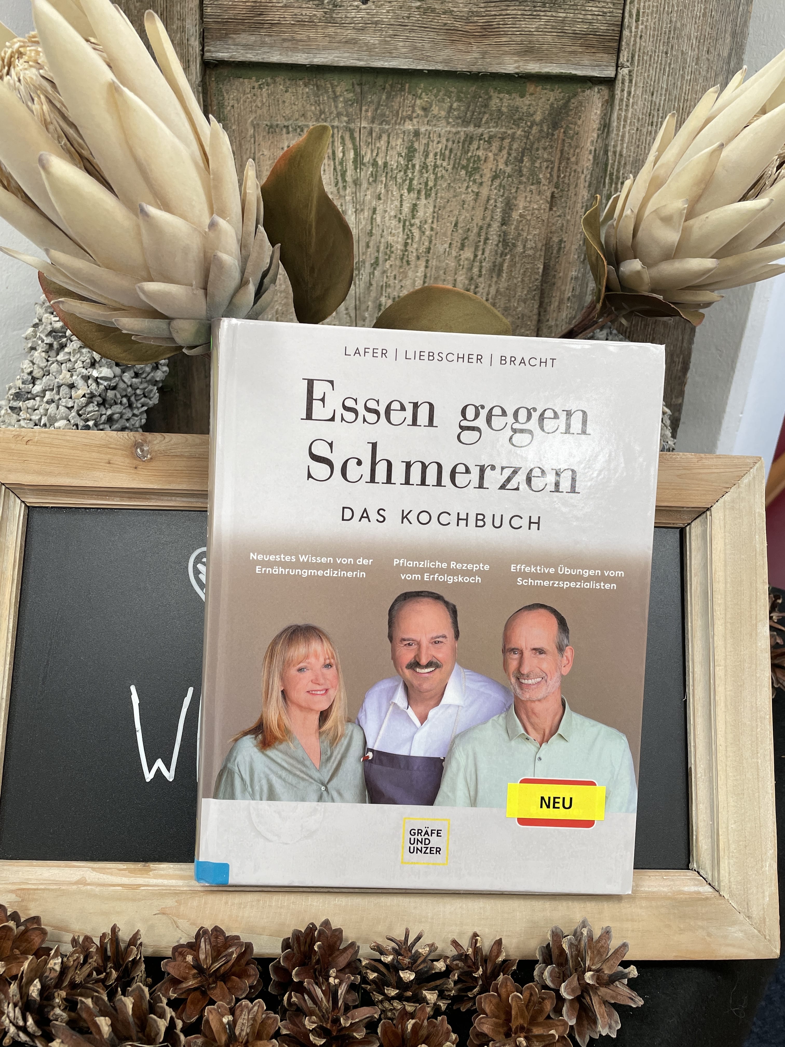 Lafer, Liebscher, Bracht, Essen gegen Schmerzern