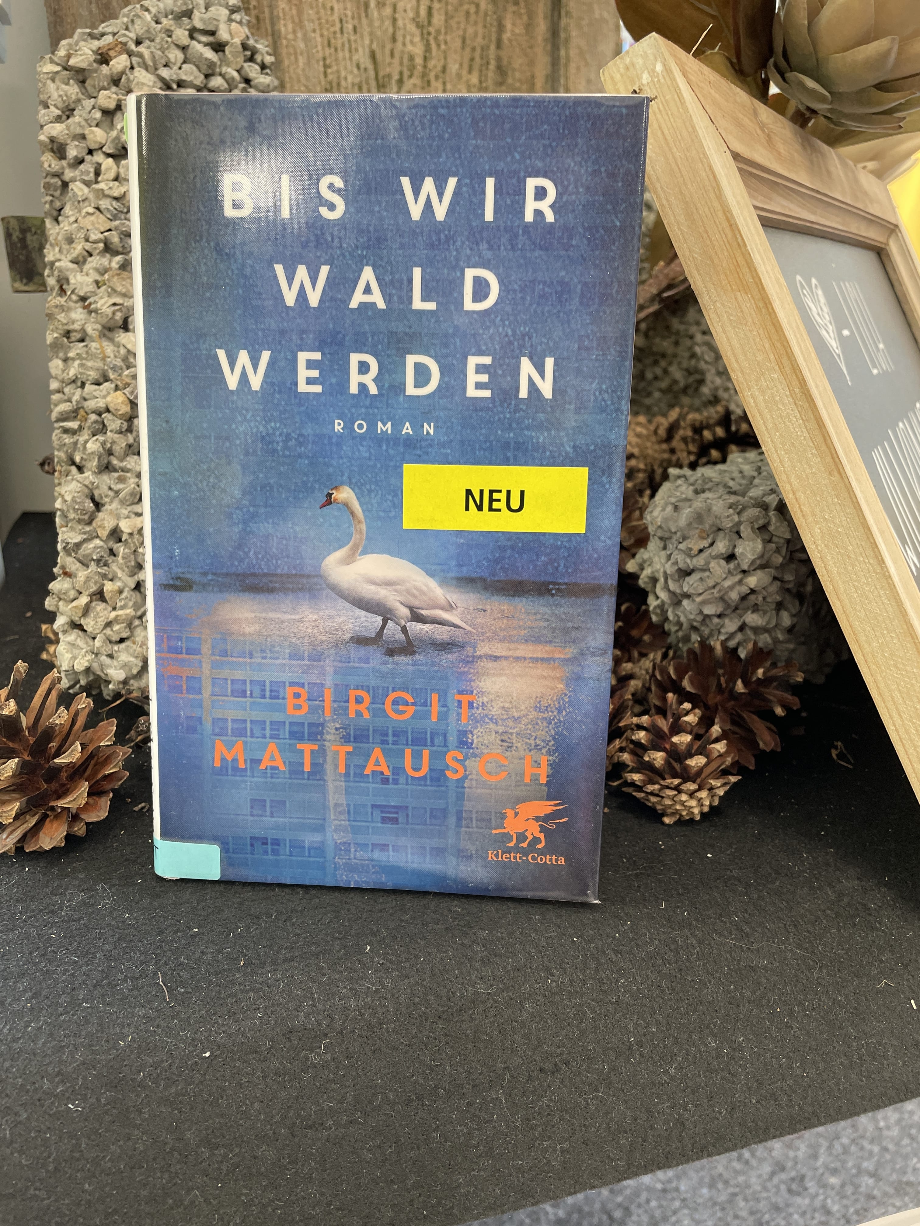 Birgit Mattausch, Bis wir Wald werden