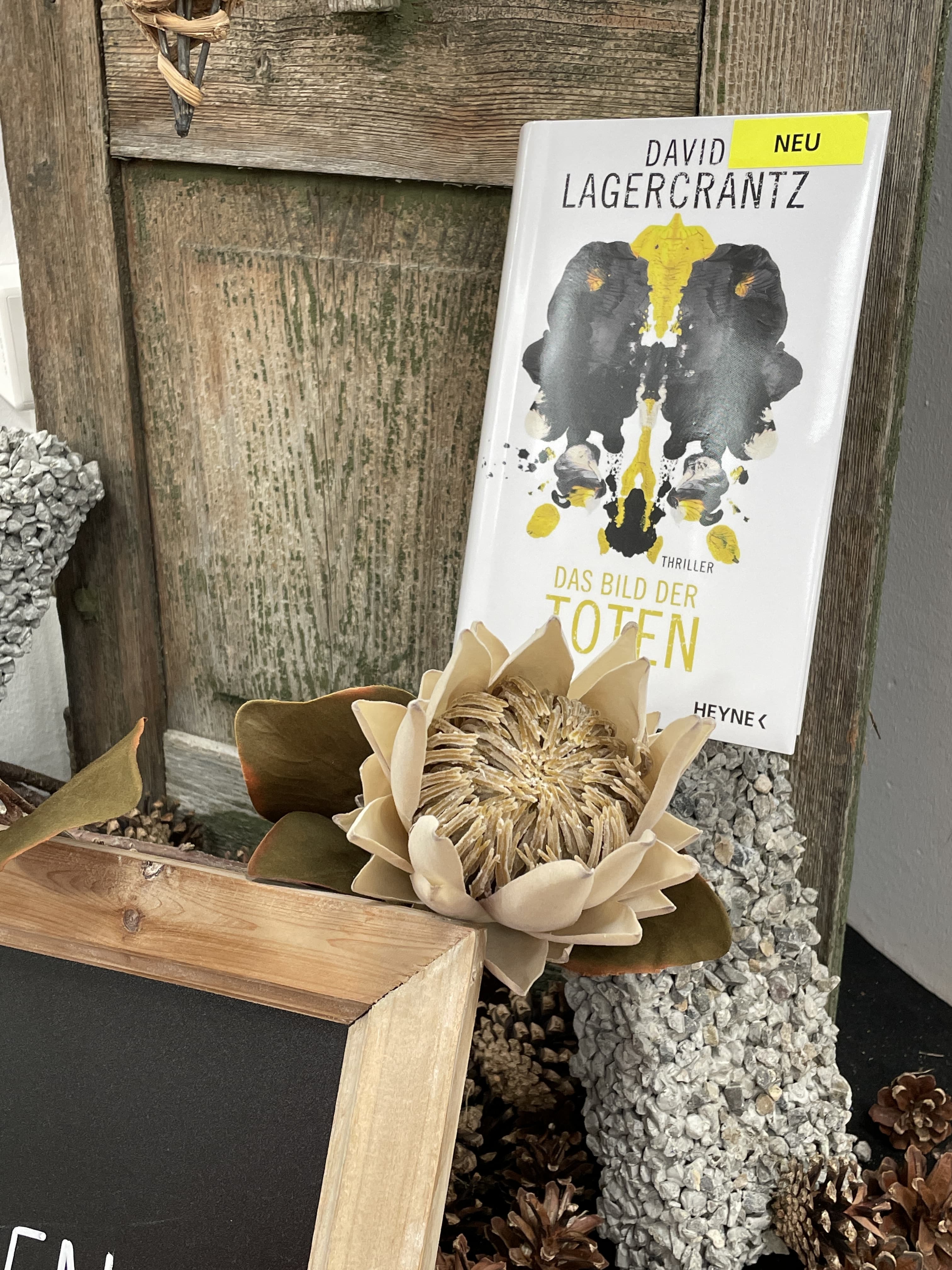 David Lagercrantz, Das Bild der Toten