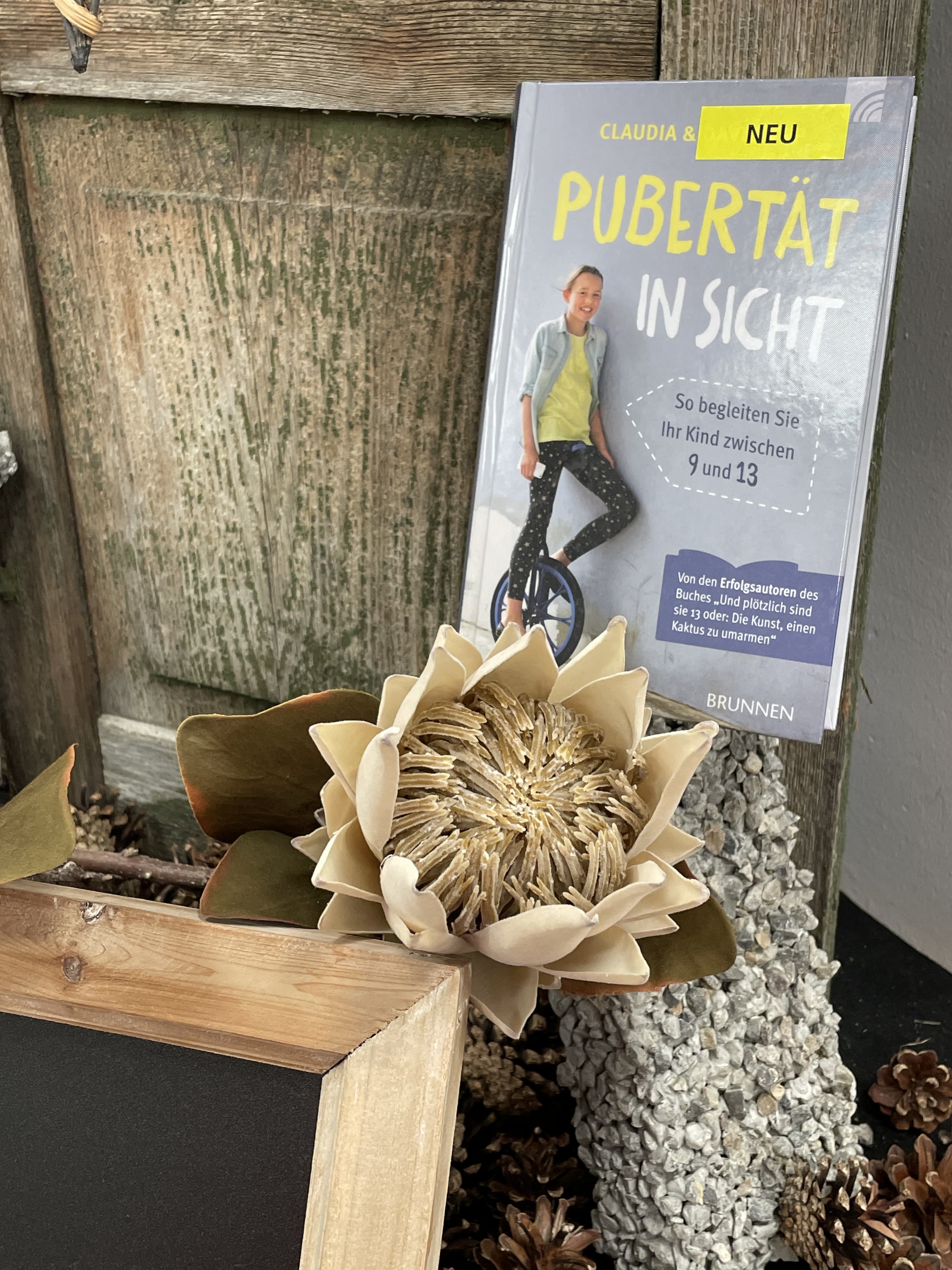 Claudia und David Arp, Pubertät in Sicht