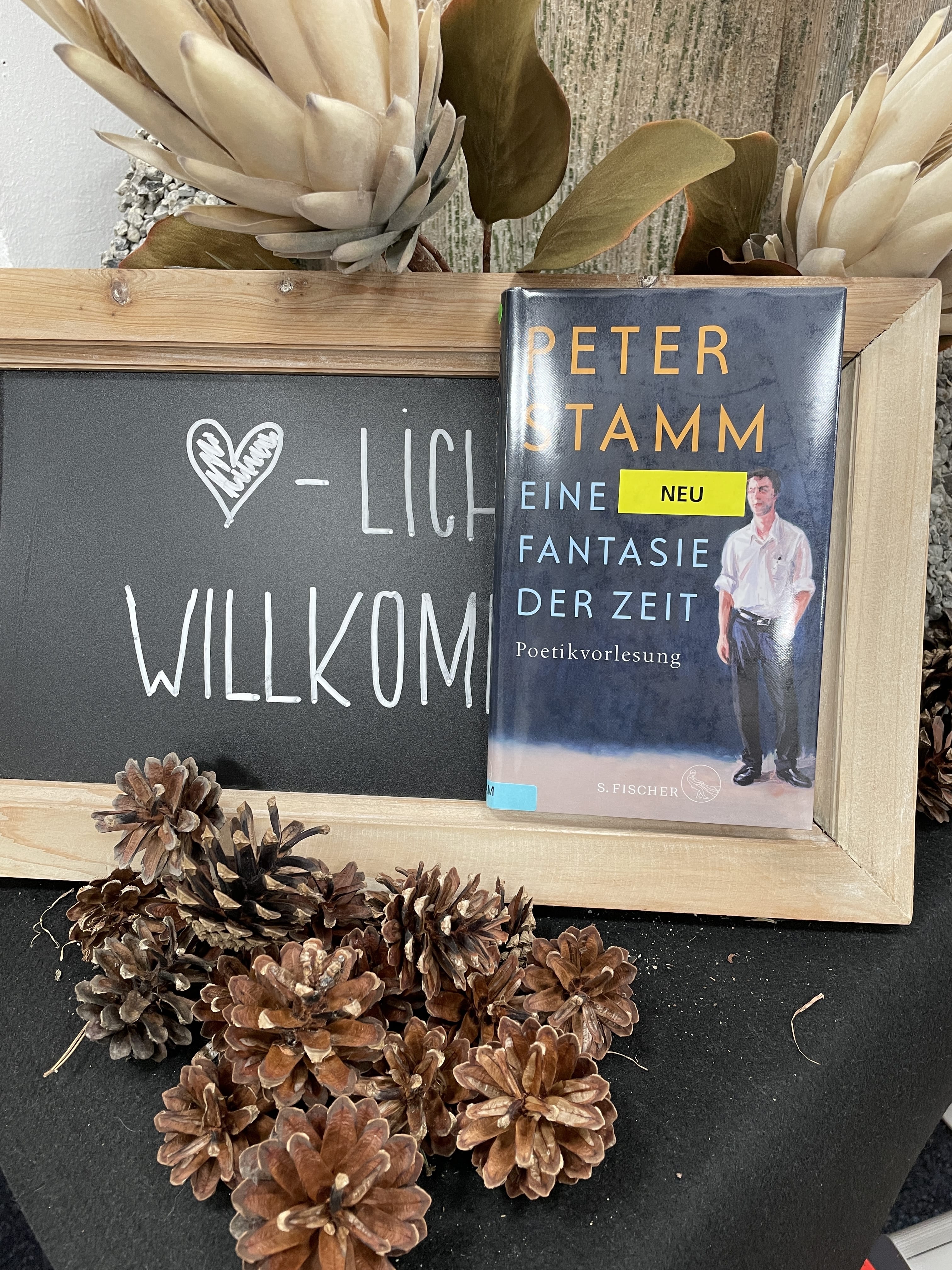 Peter Stamm, Eine Fantasie der Zeit