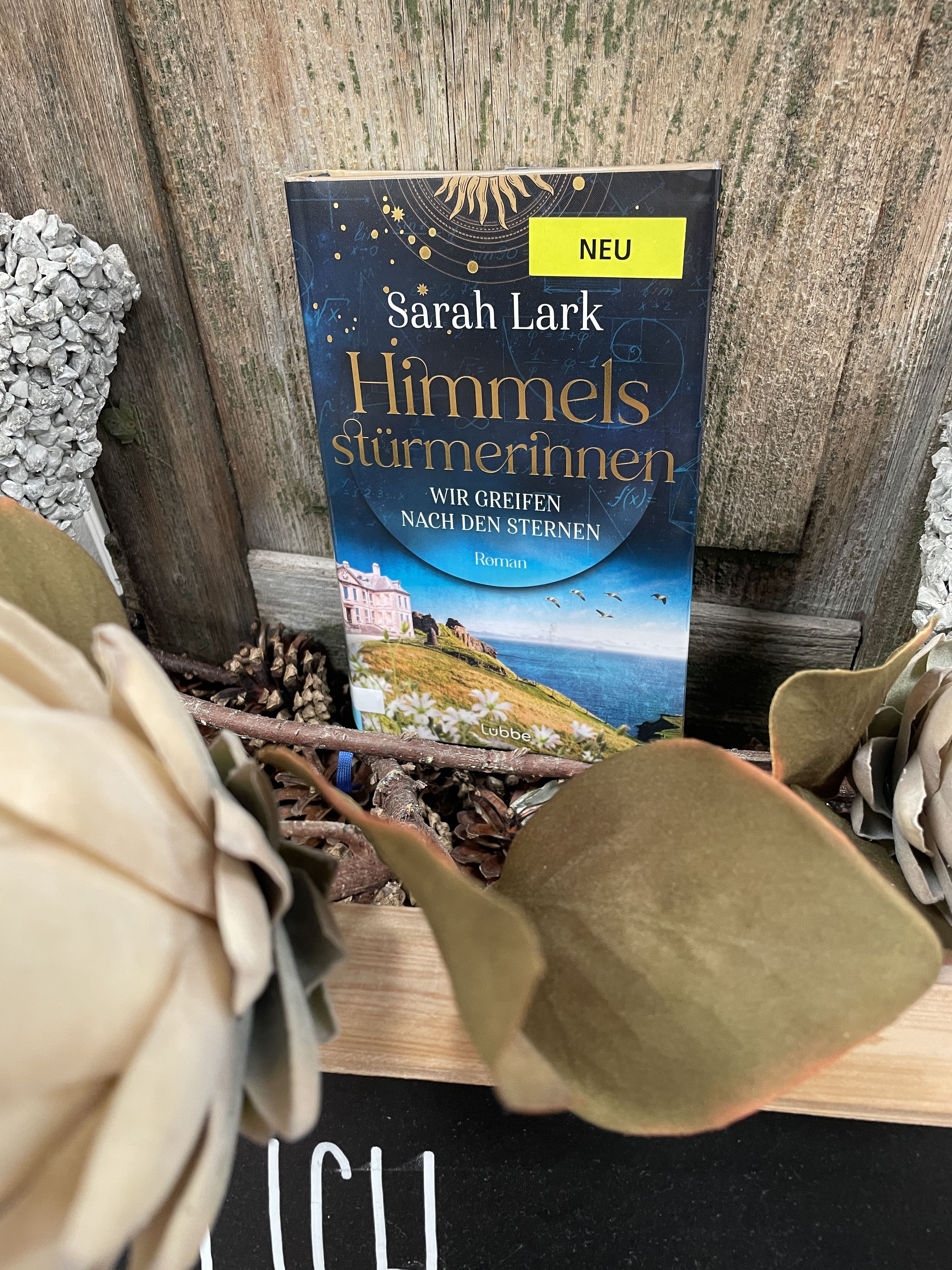 Sarah Larks, Die Himmelstürmerinnen