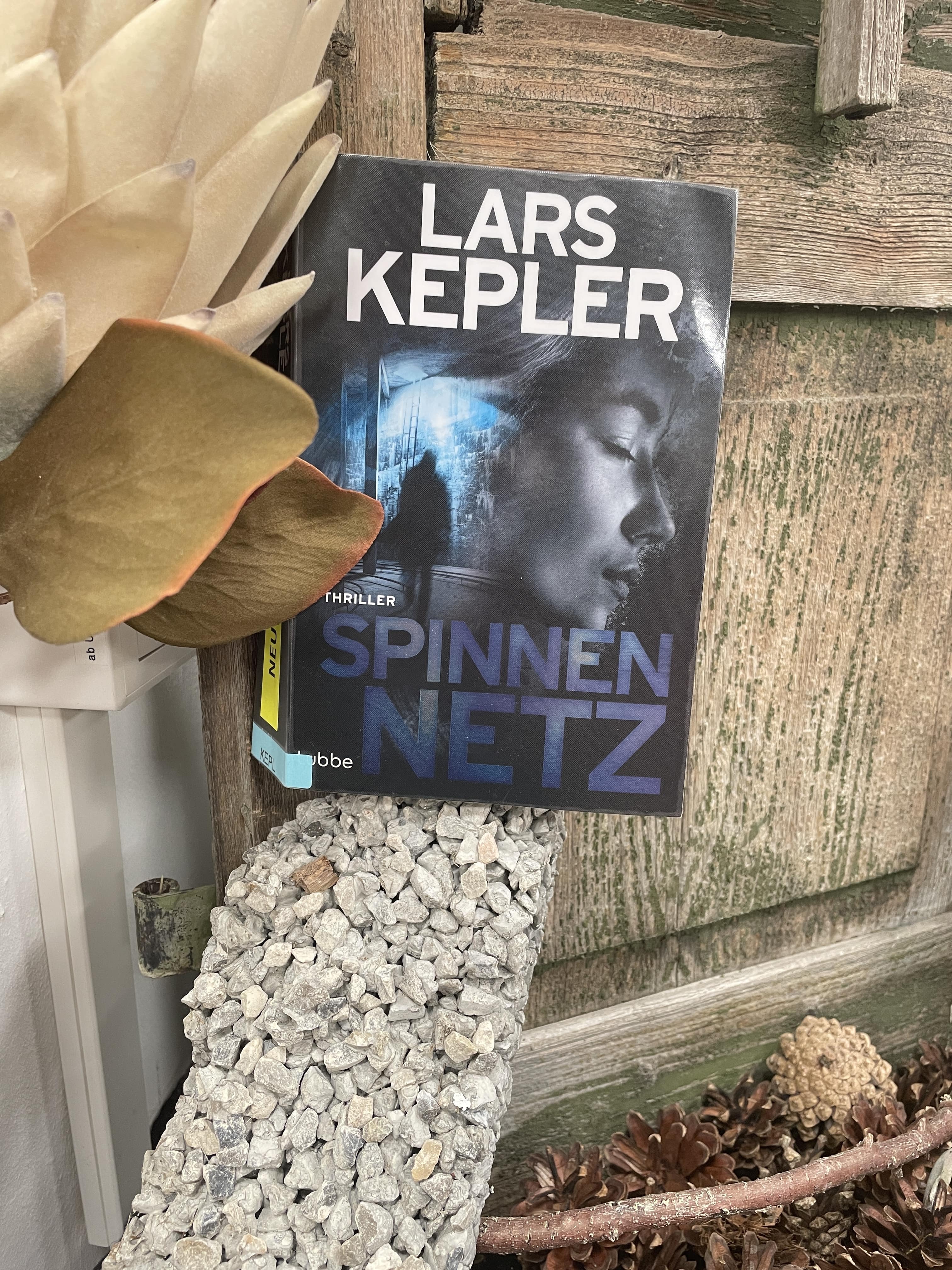 Lars Kepler, Spinnennetz