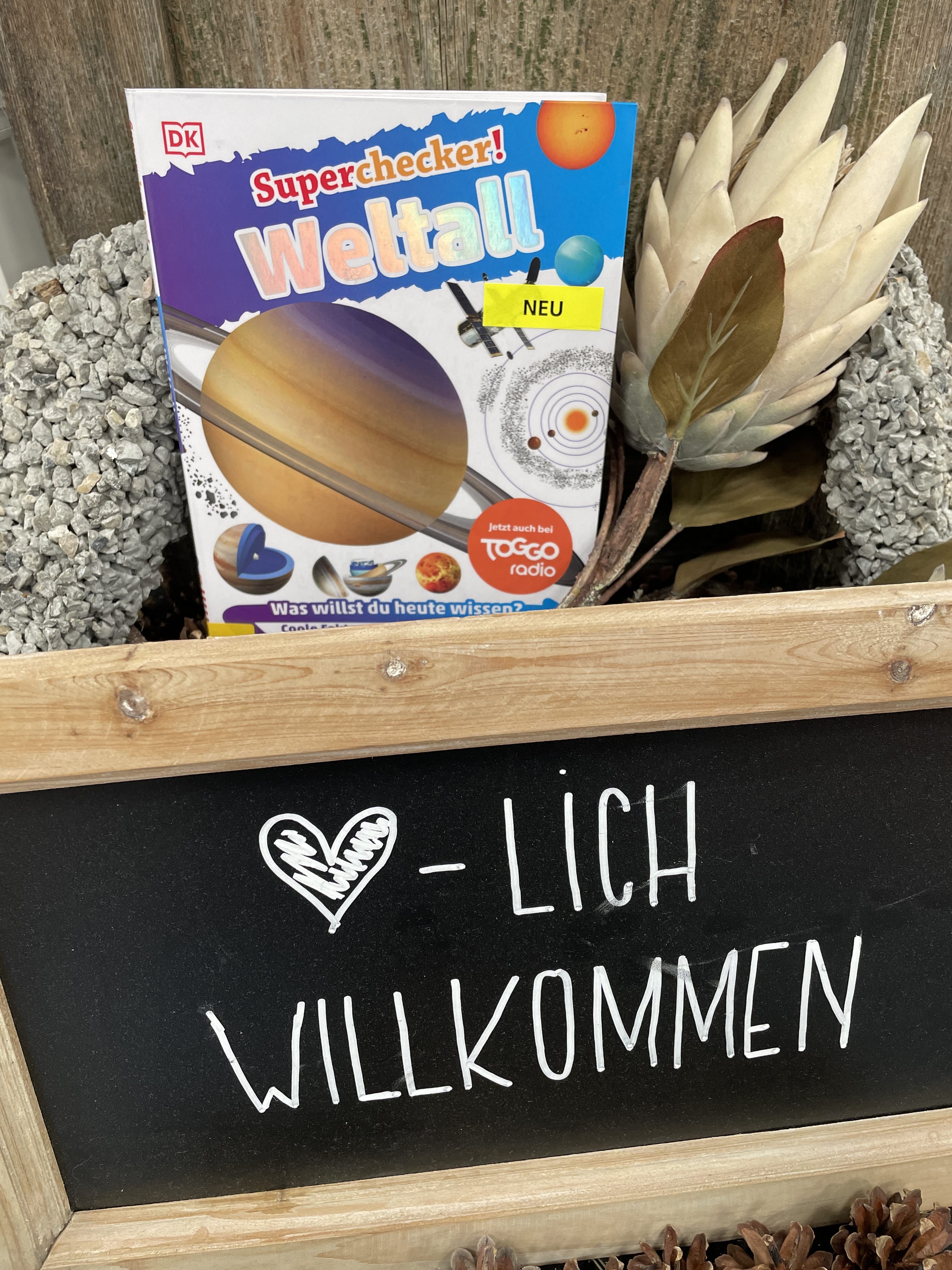 Superchecker Weltall, Sachbuch