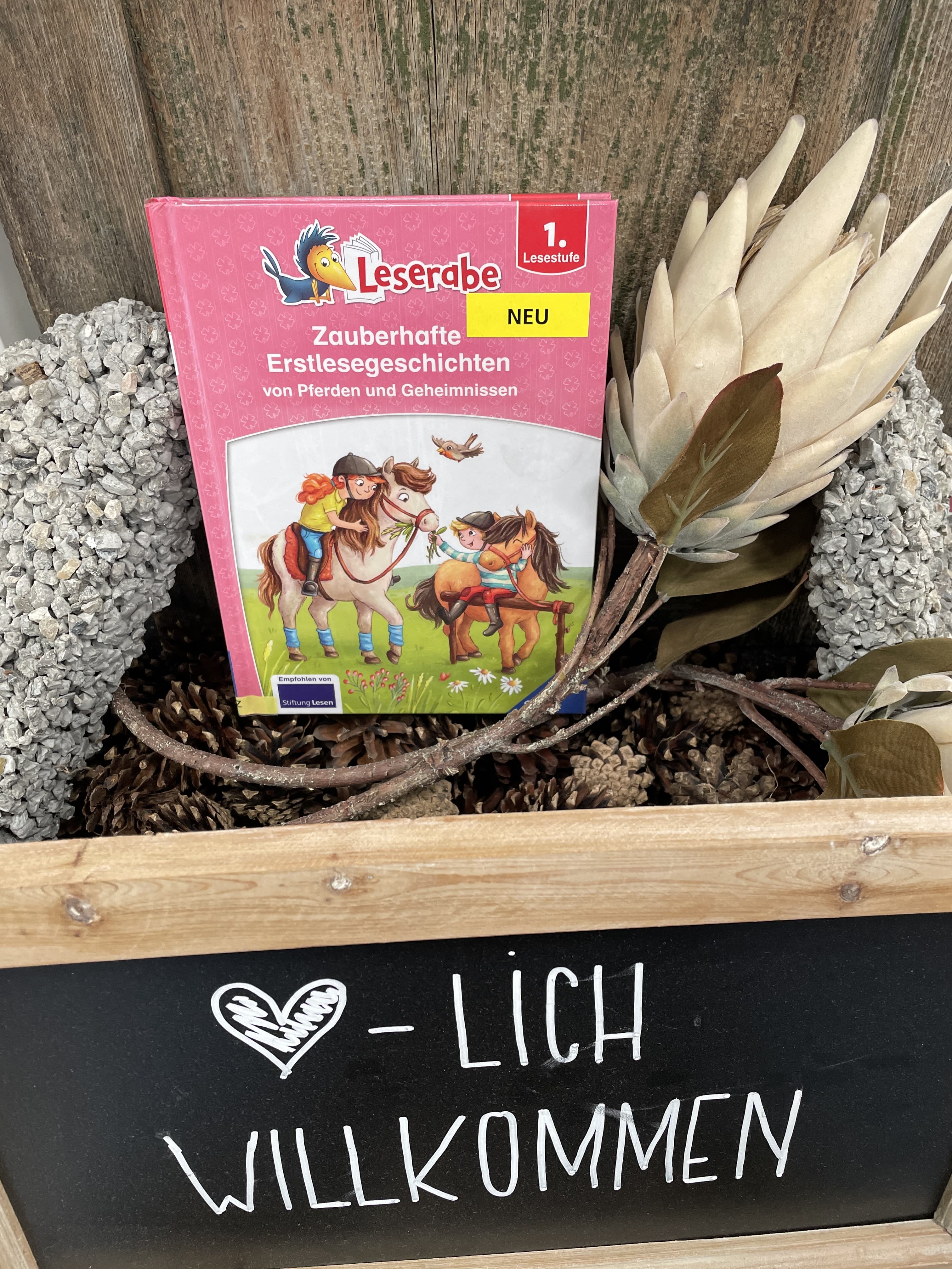Zauberhafte Erstlesegeschichten von Pferden und Geheimnissen