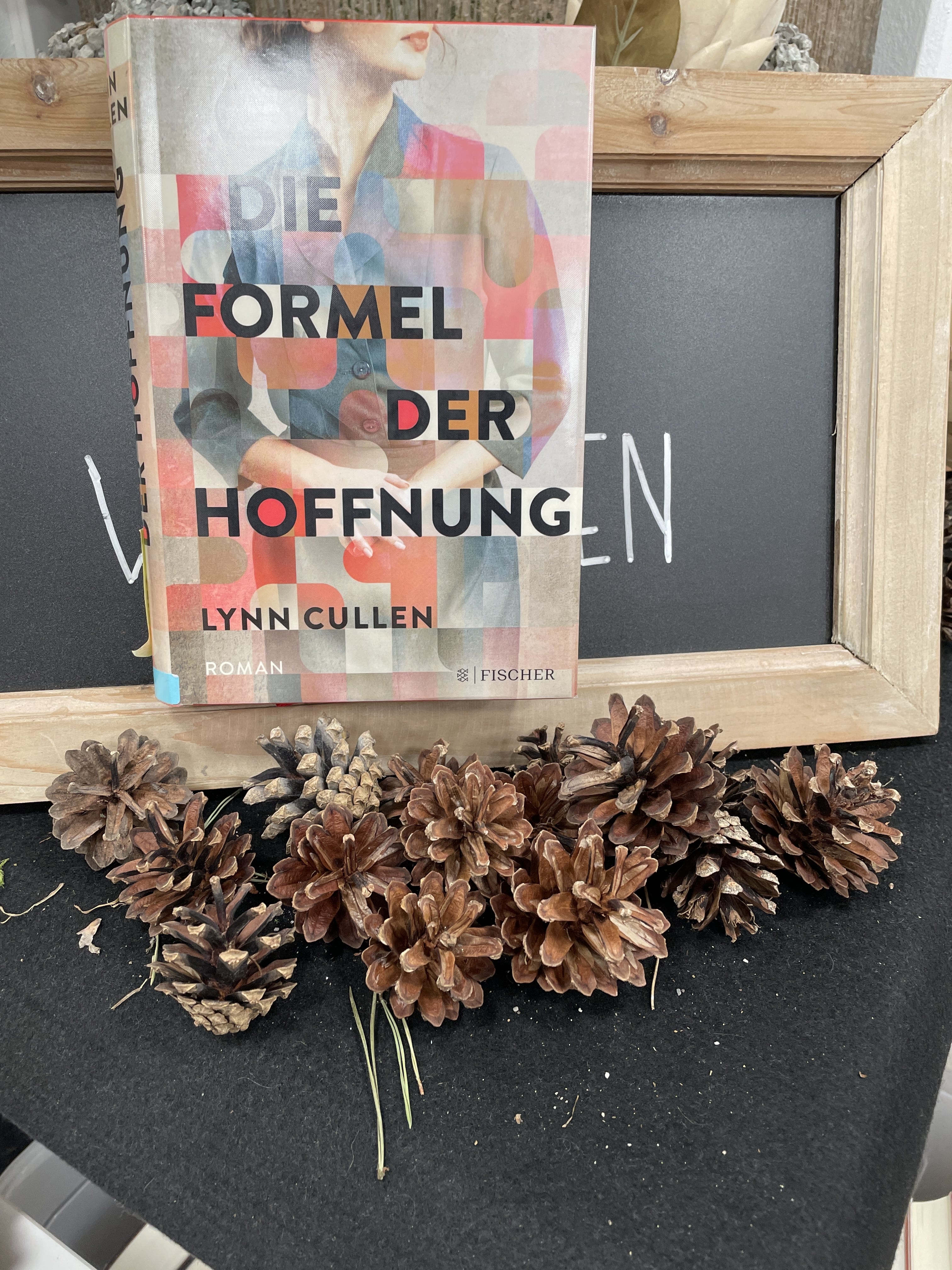 Lynn Cullen, Die Formel der Hoffnung