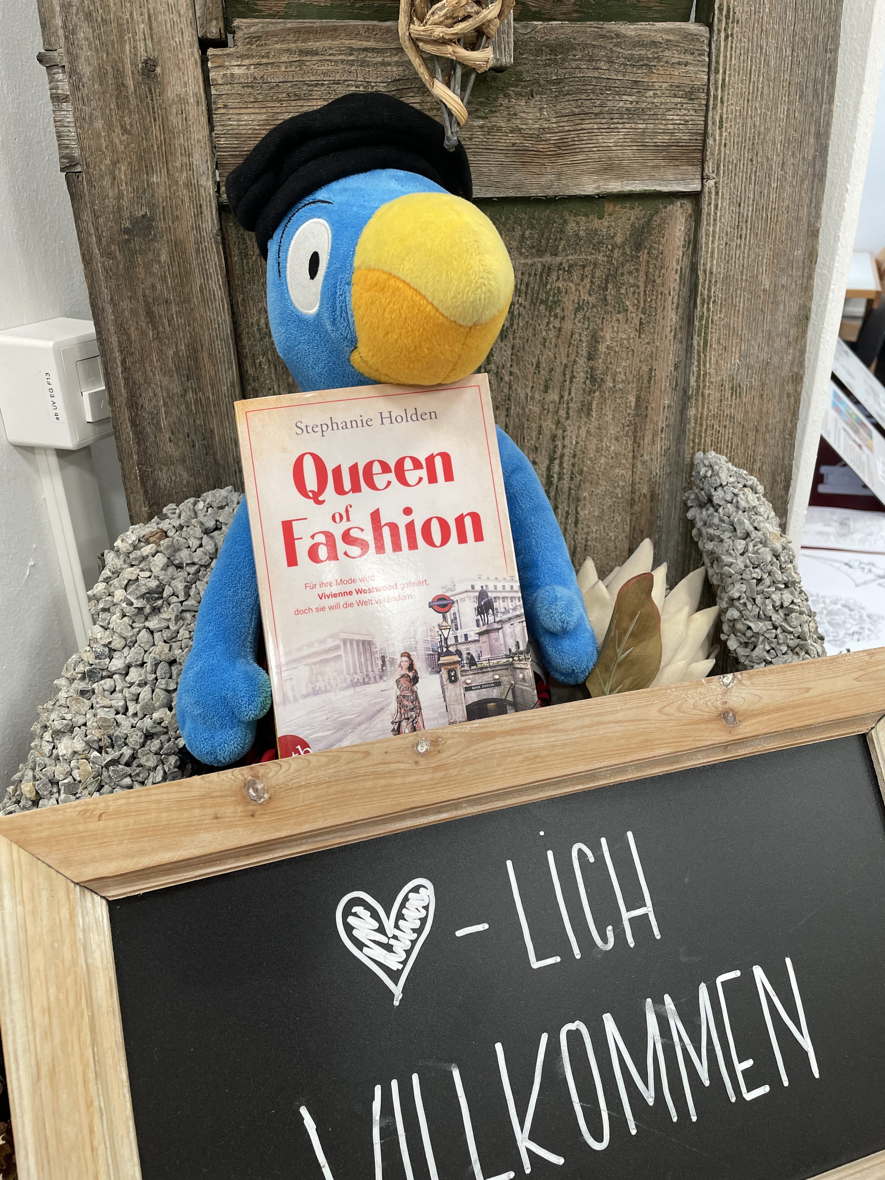 Stephanie Holden, Queen of Fashion