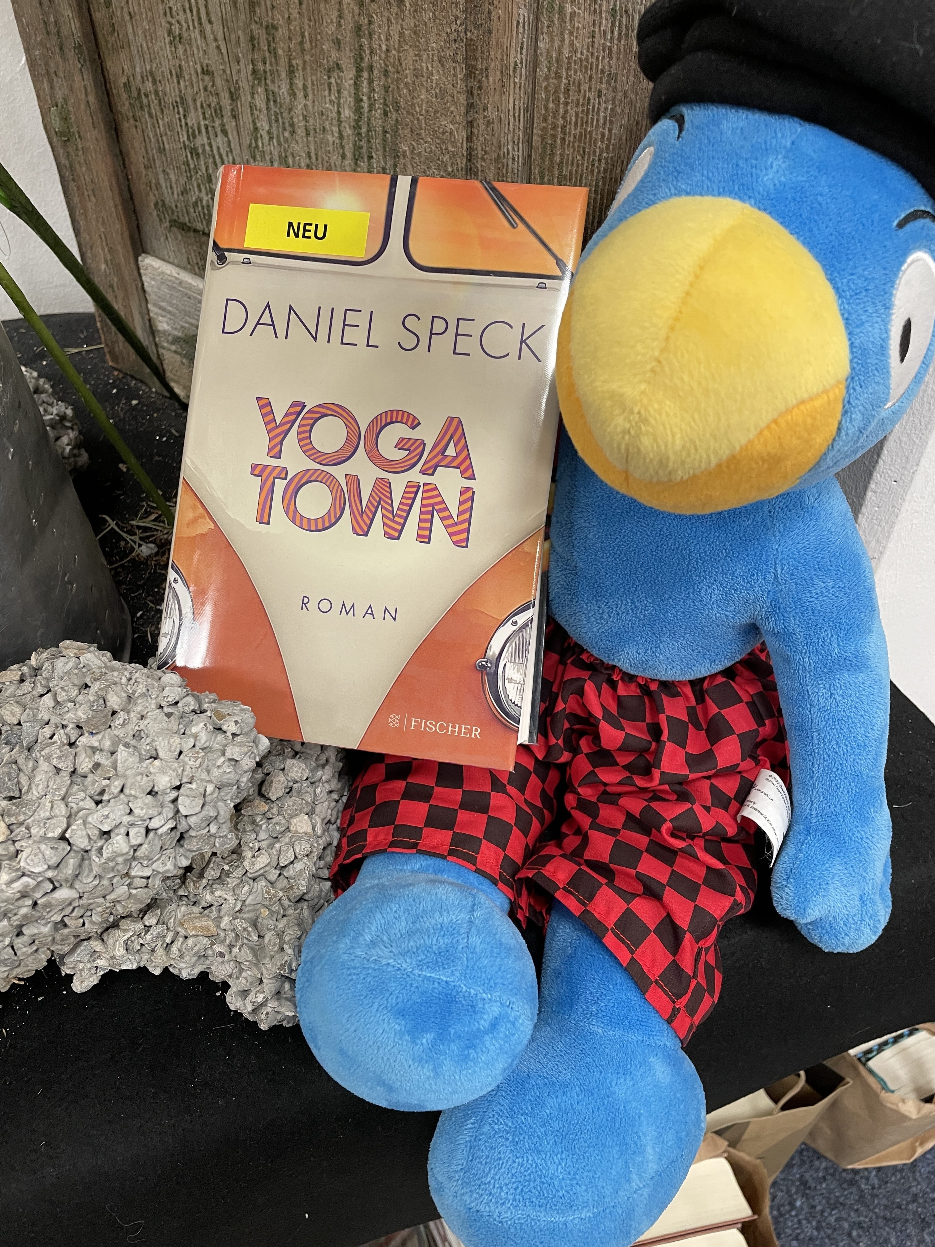 Daniel Speck, Yoga Town