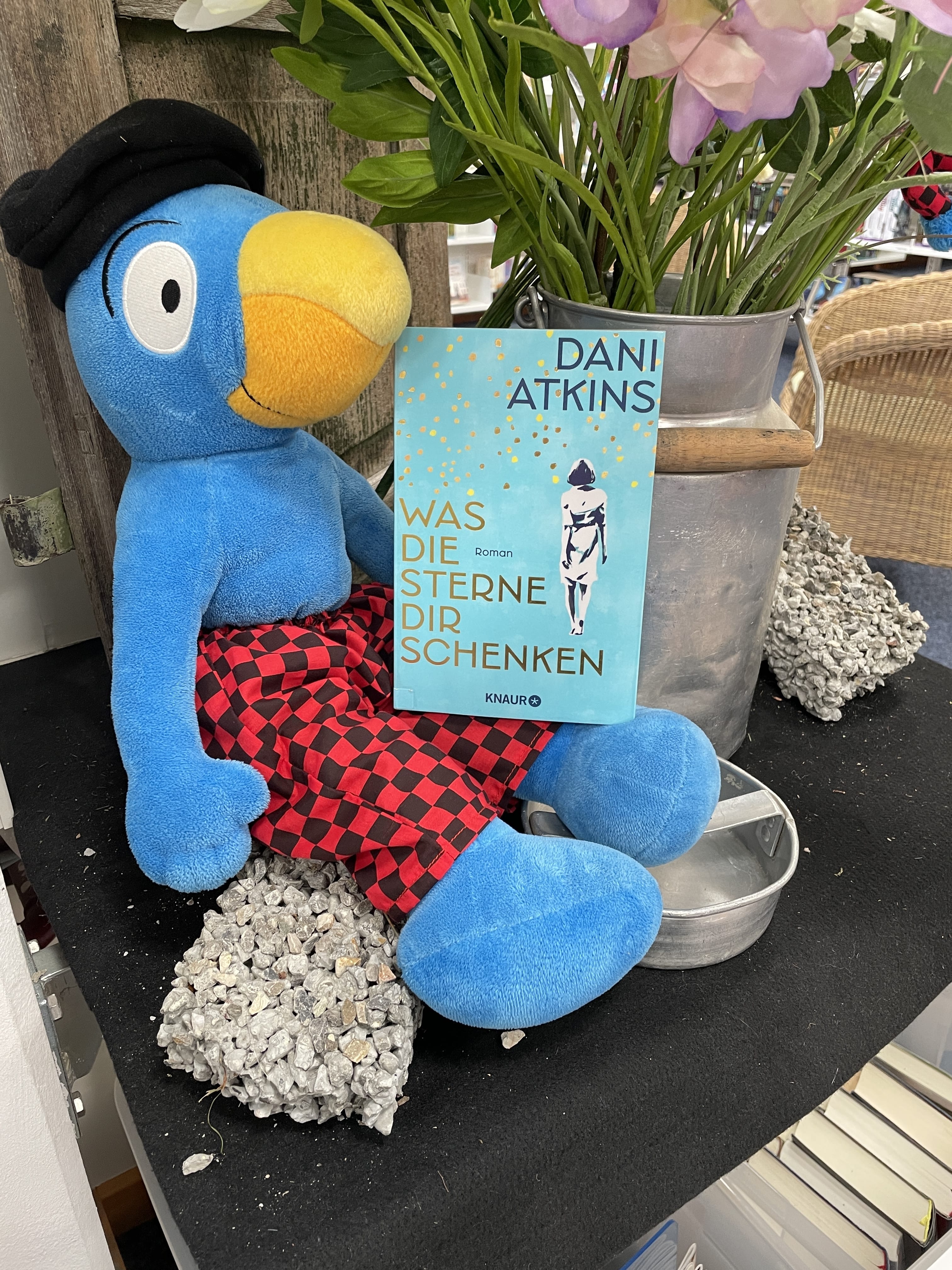 Dani Atkins, Was die Sterne Dir schenken