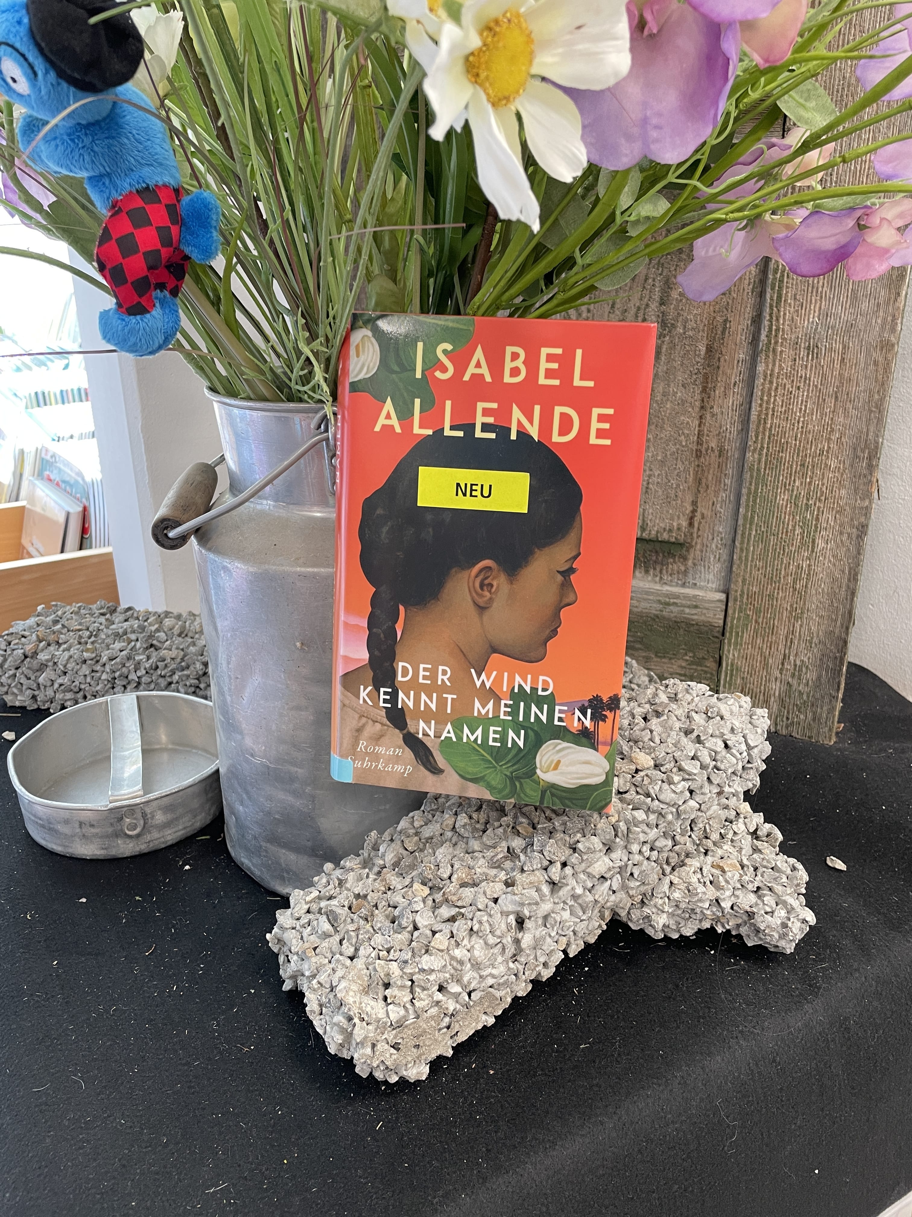 Isabel Allende, Der Wind kennt meinen Namen