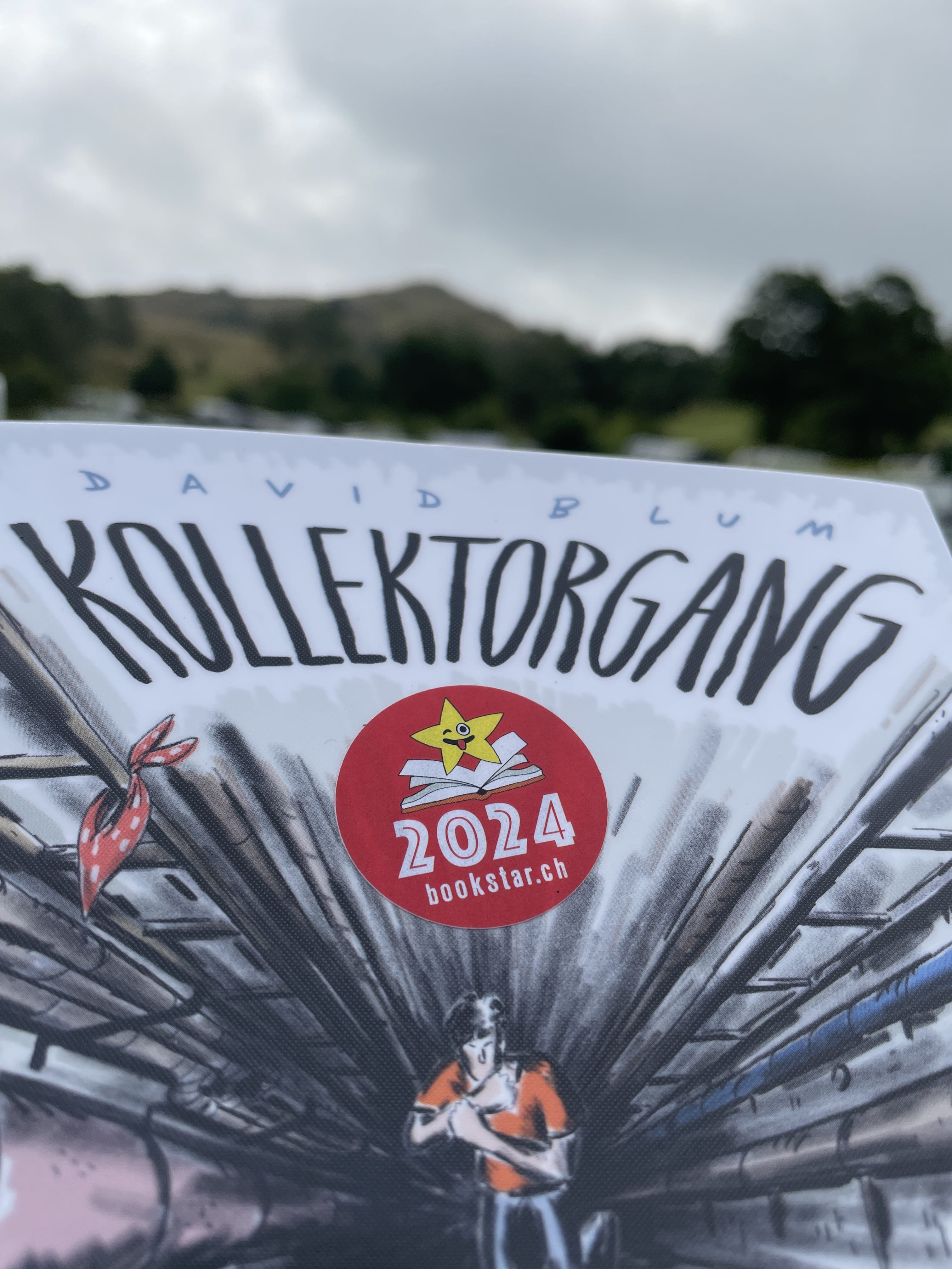 Ferien-Lese-Tipp: David Blum, Kollektorgang