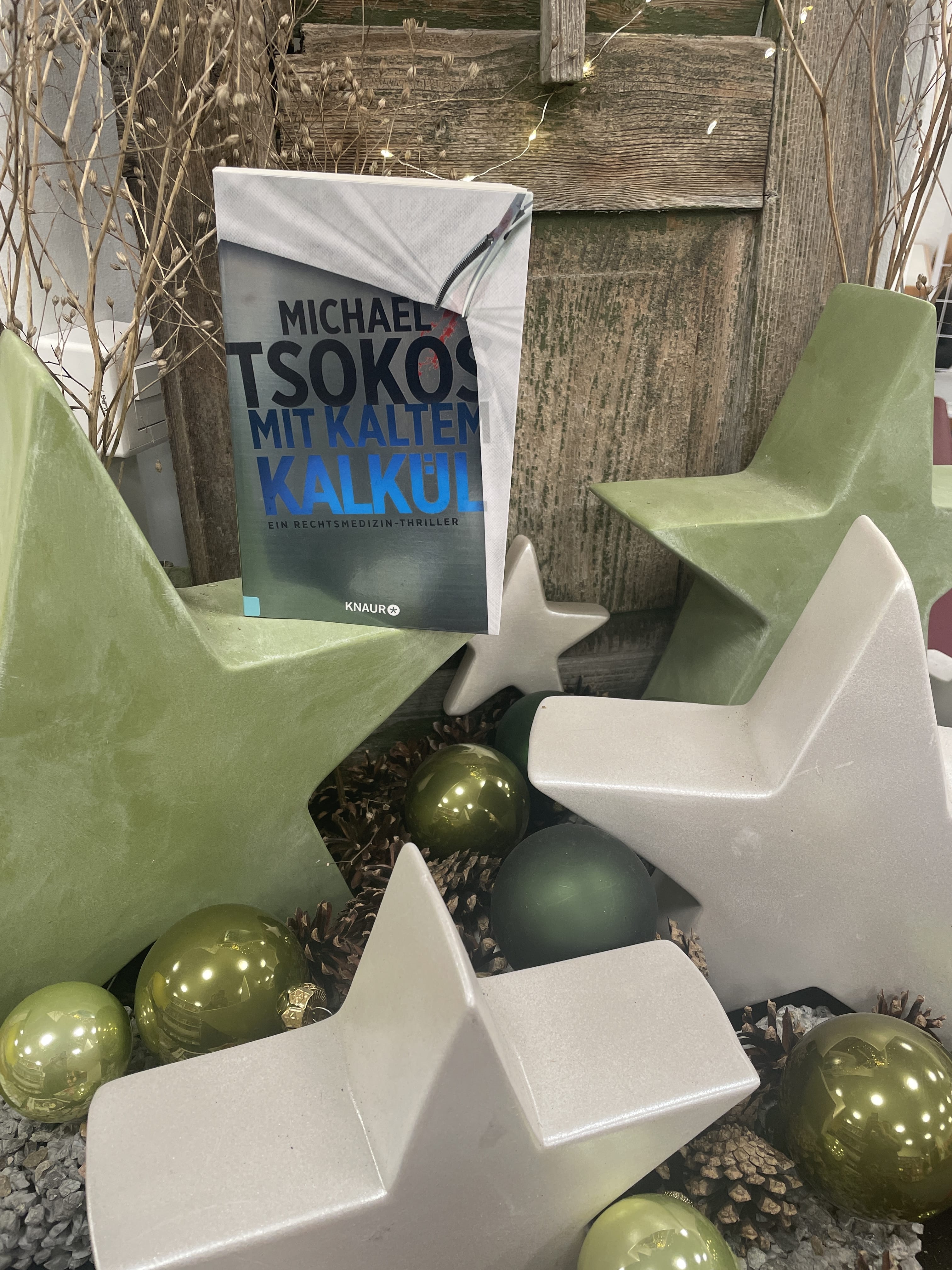 Michael Tsokos, Mit kaltem Kalkül