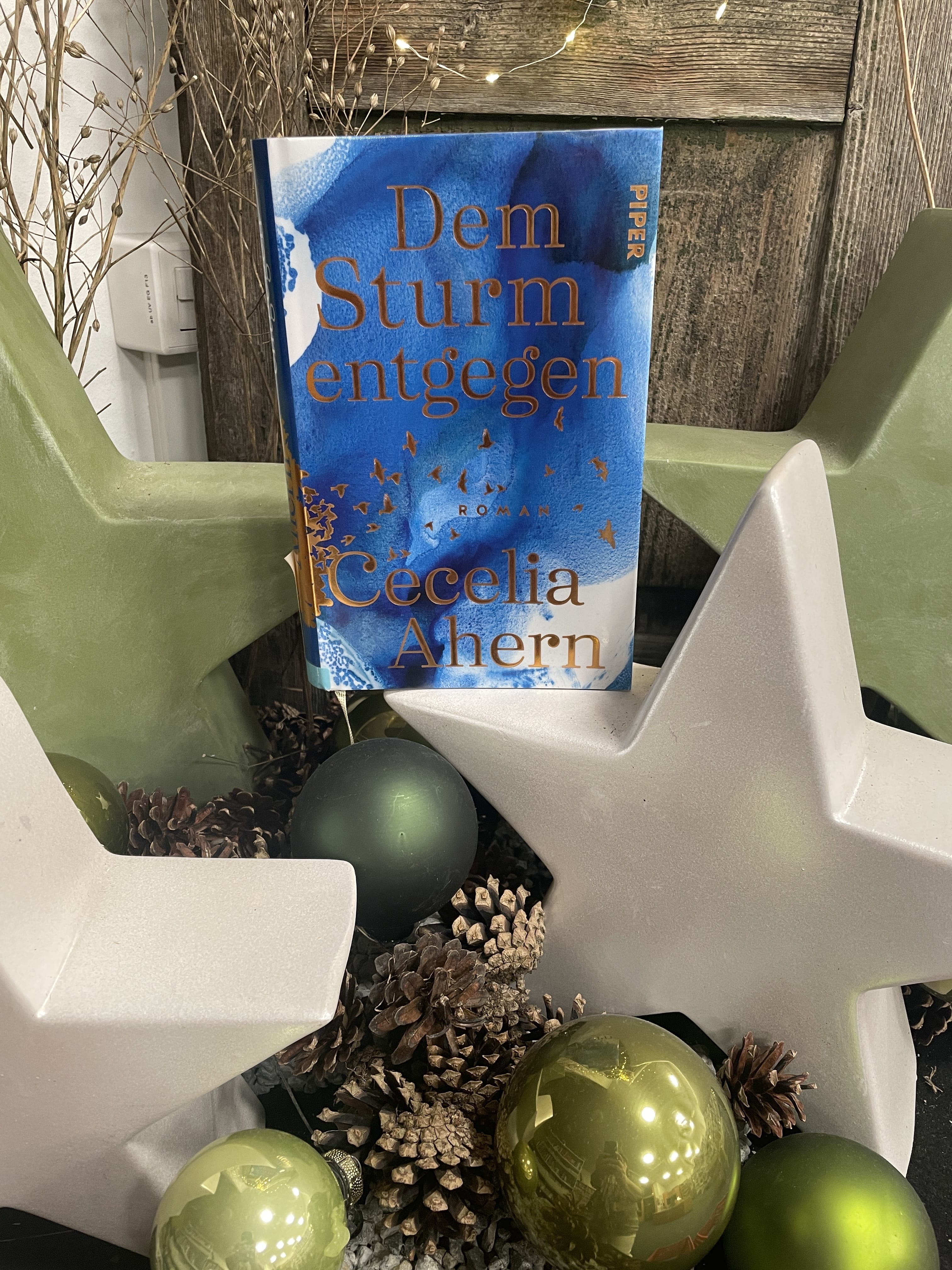 Cecilia Ahern, Dem Sturm entgegen