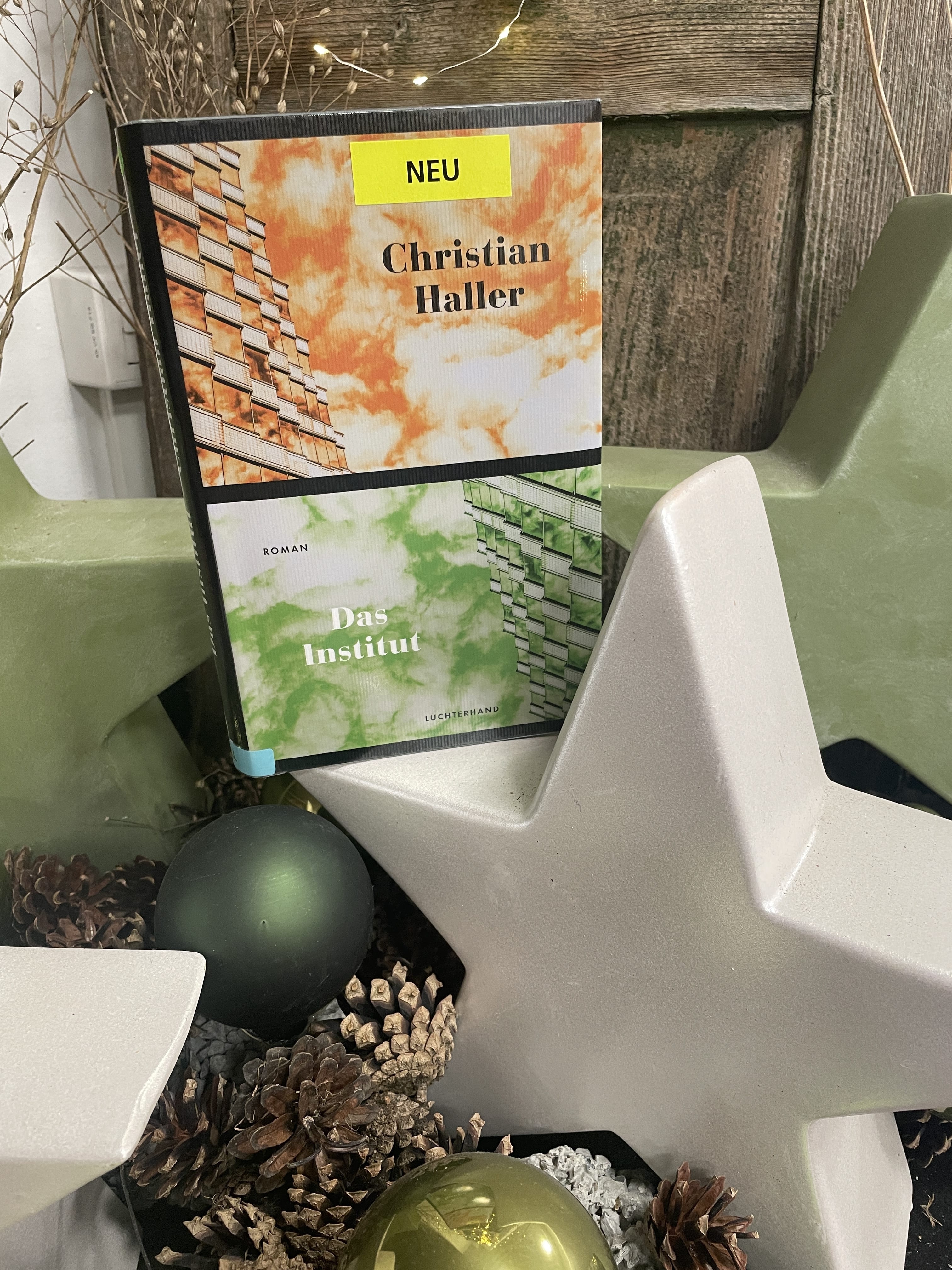 Christian Haller, Das Institut