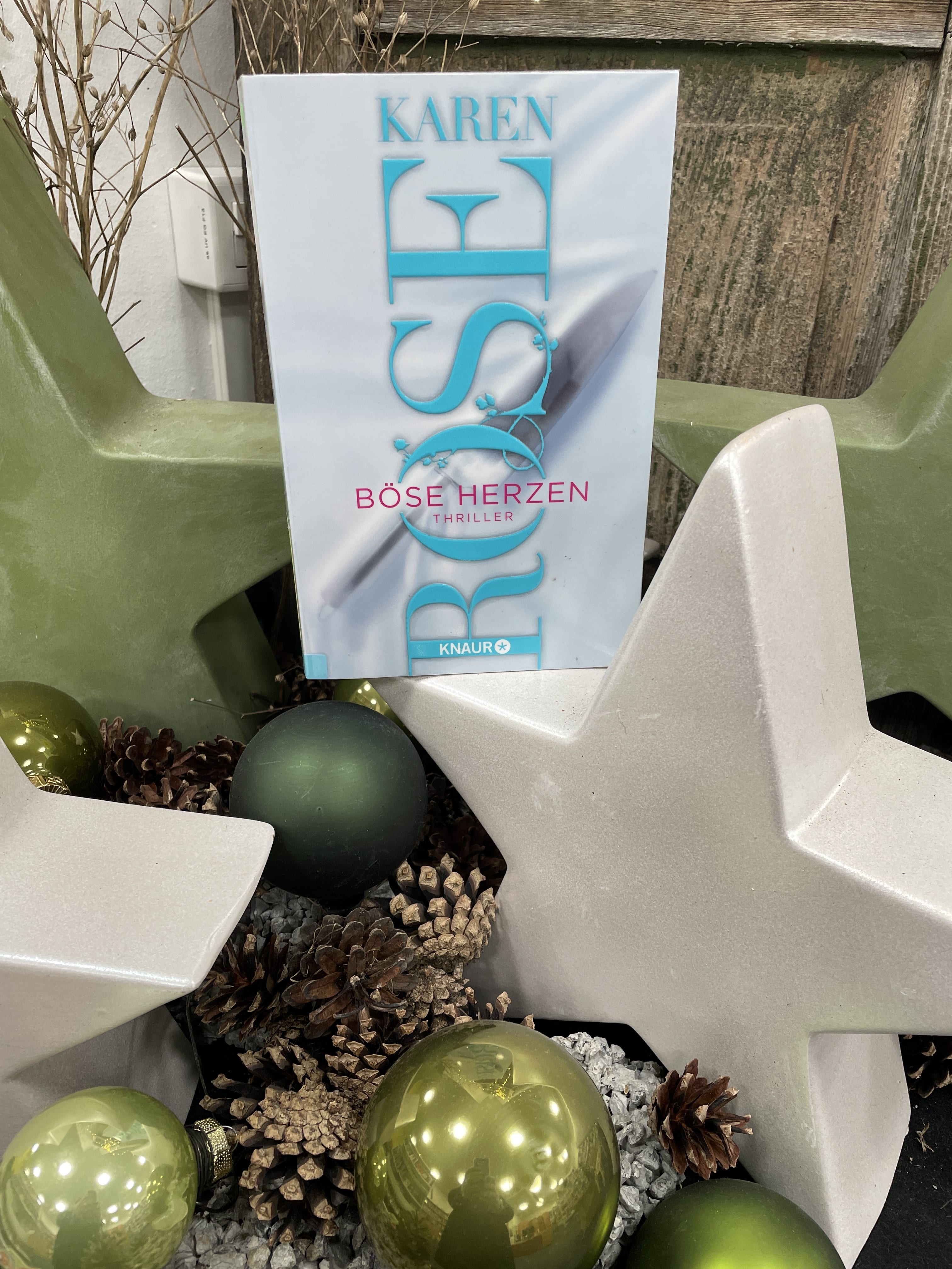 Karen Rose, Böse Herzen