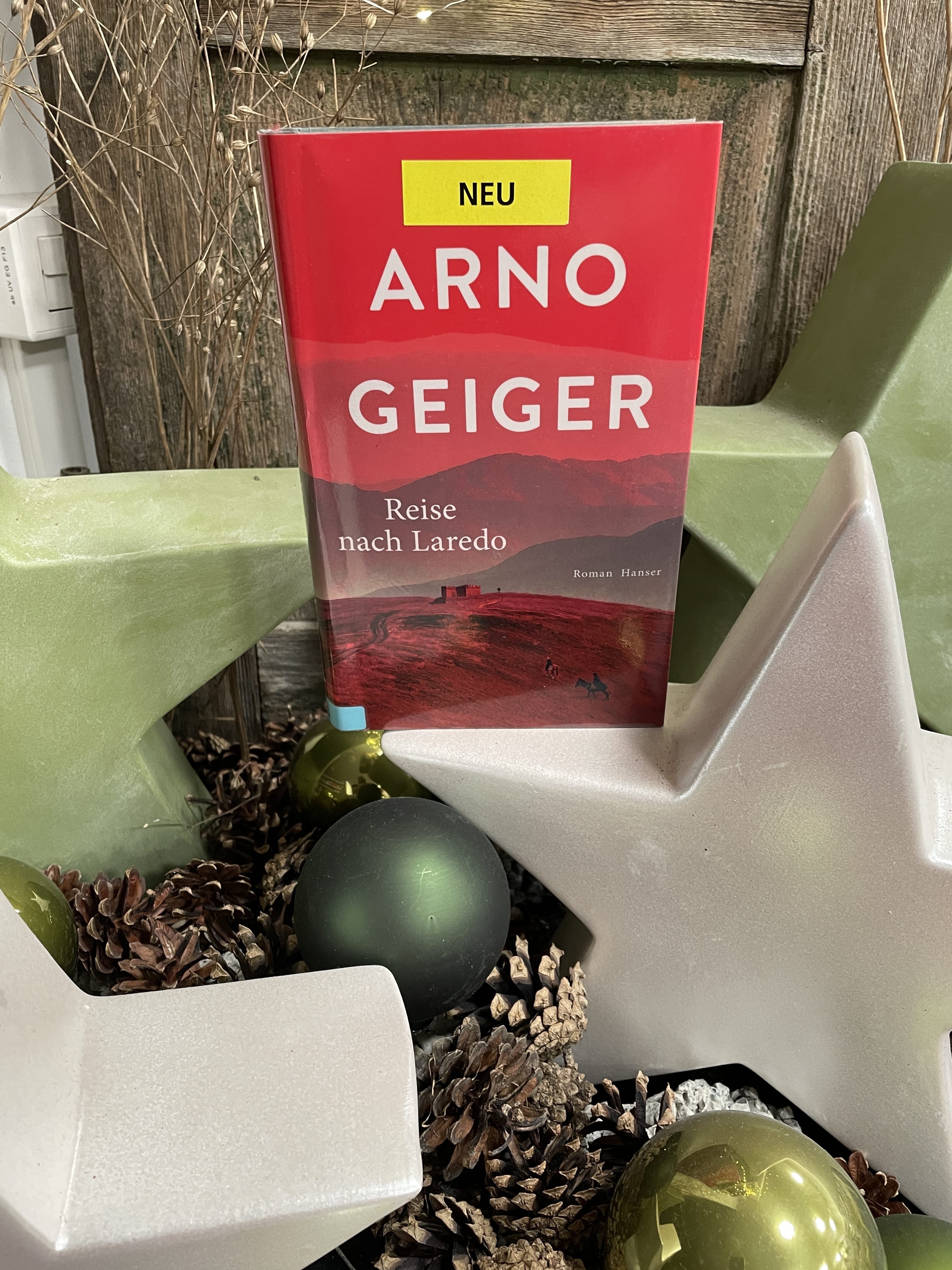 Arno Geiger, Reise nach Laredo