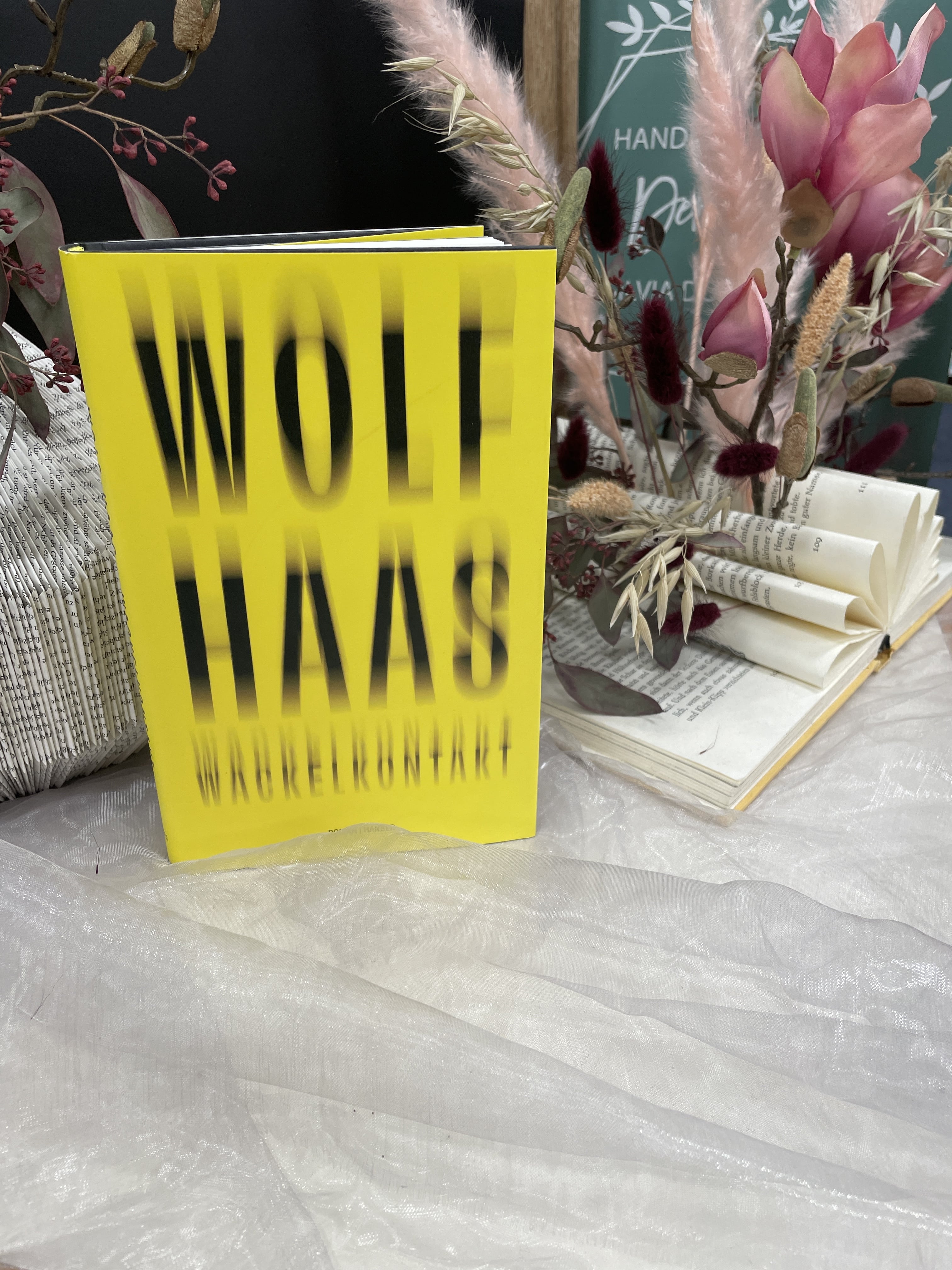 Wolf Haas, Wackelkontakt