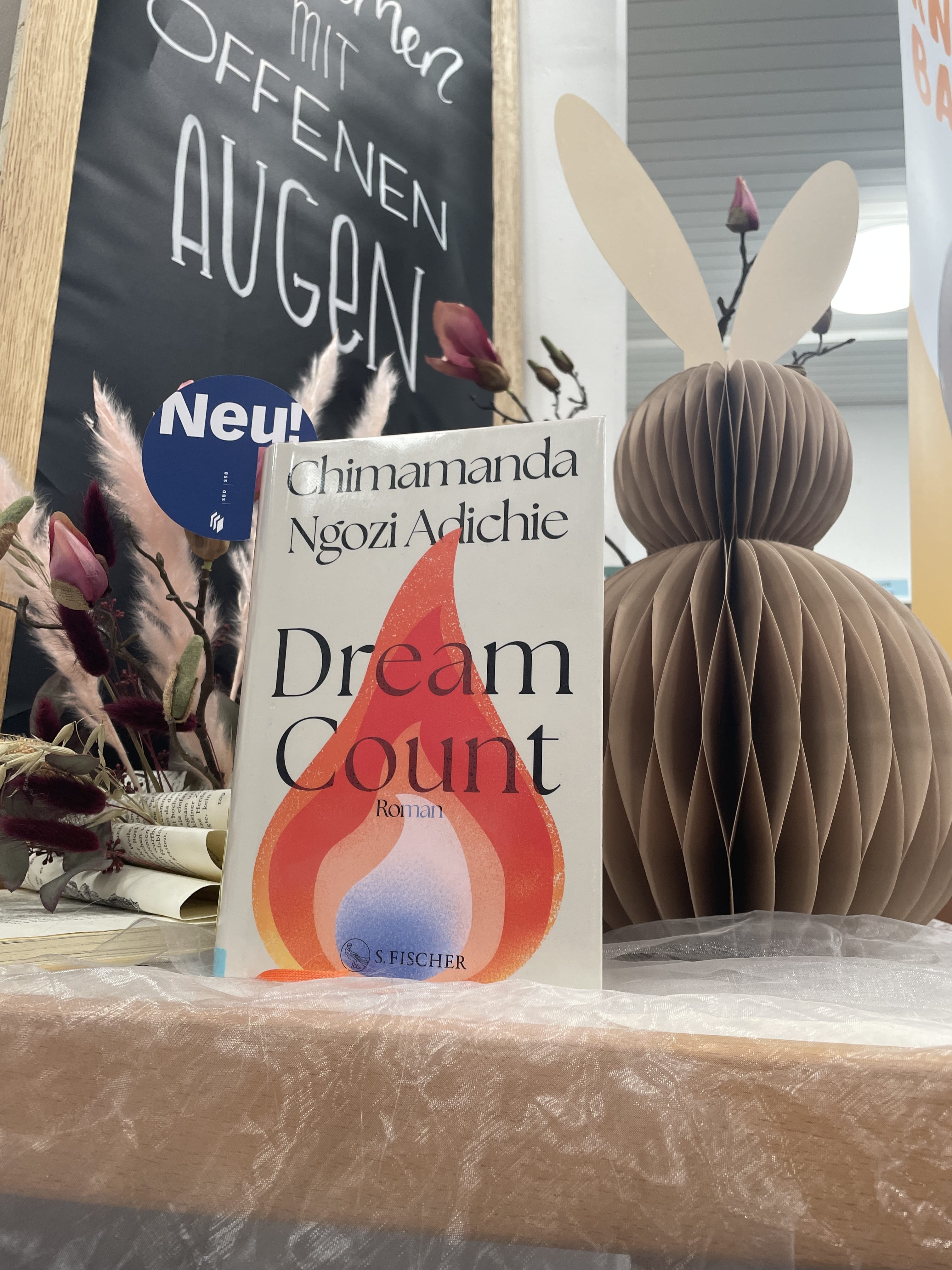 Chimamanda Ngozi Adichie, Dream Count