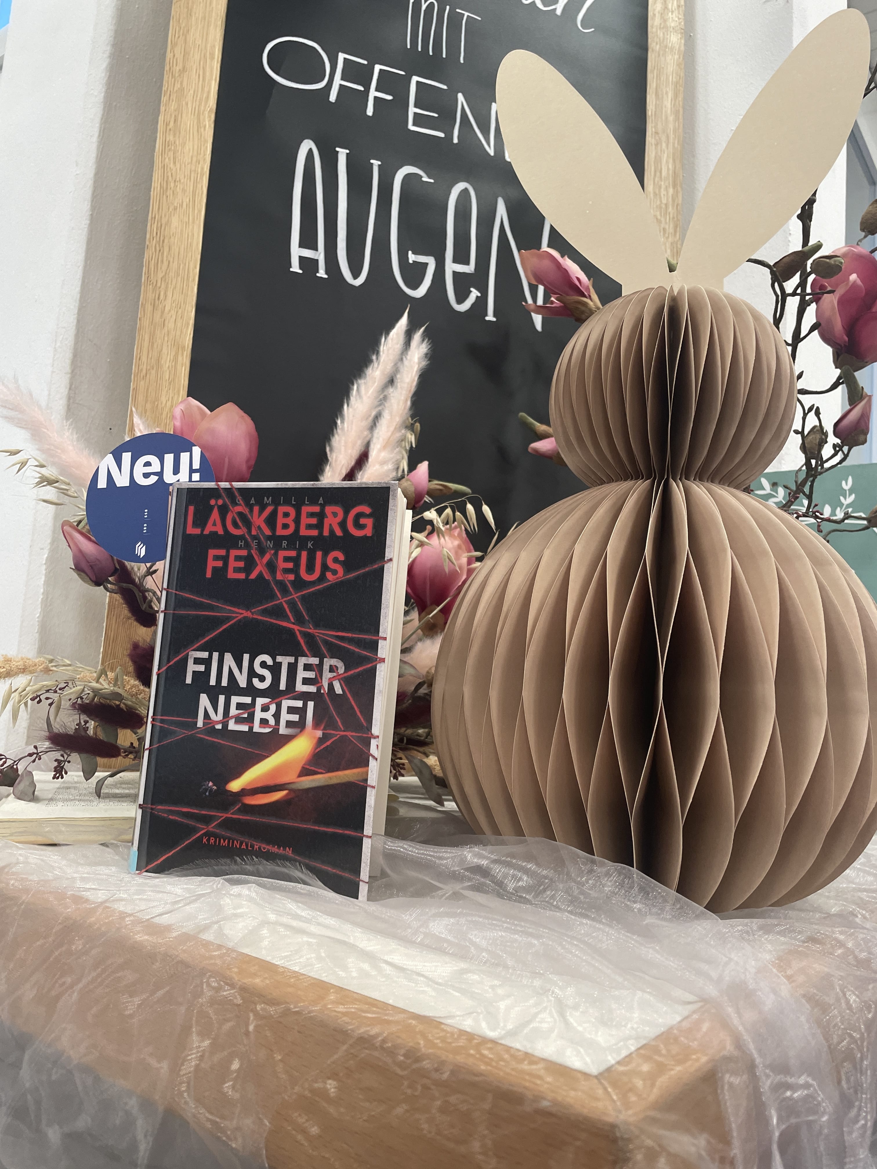 Camilla Läckberg / Henrik Fexeus, Finsternebel