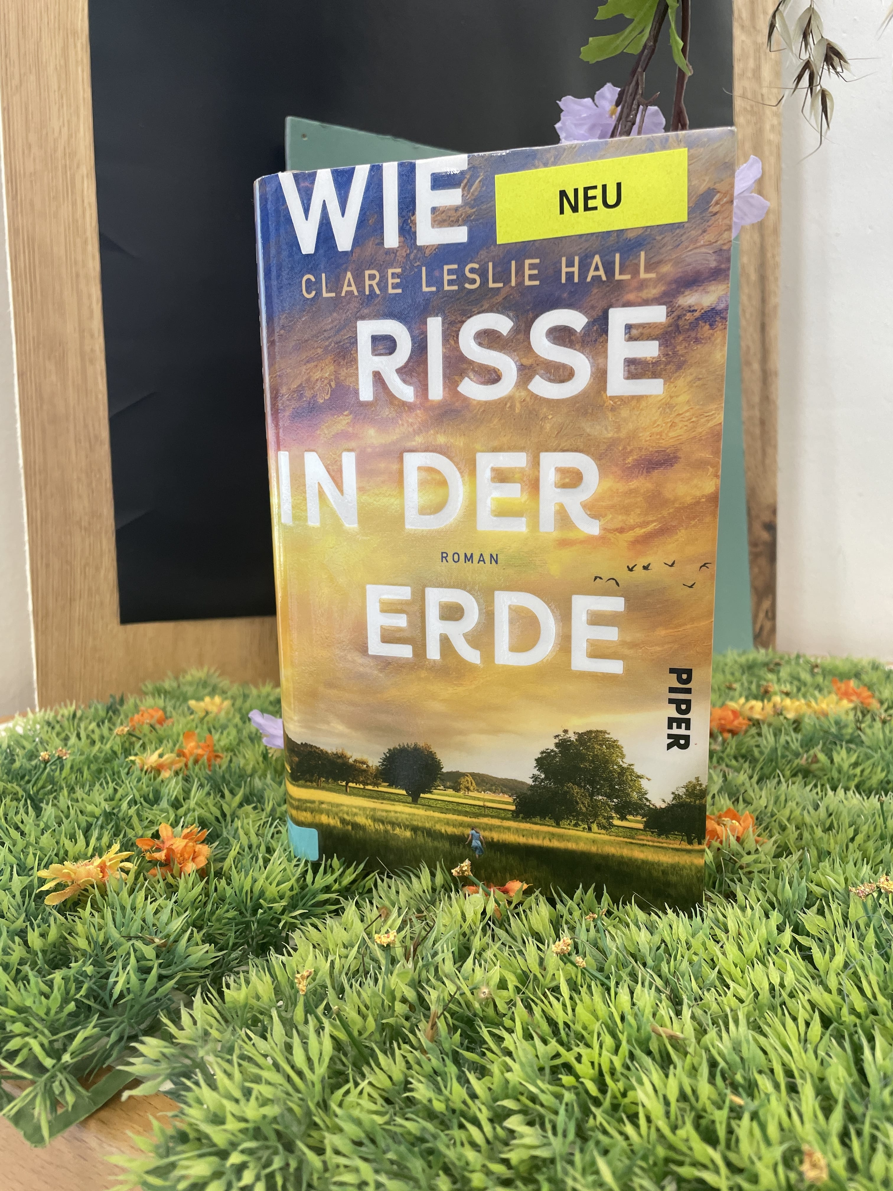 Clare Leslie Hall, Wie Risse in der Erde