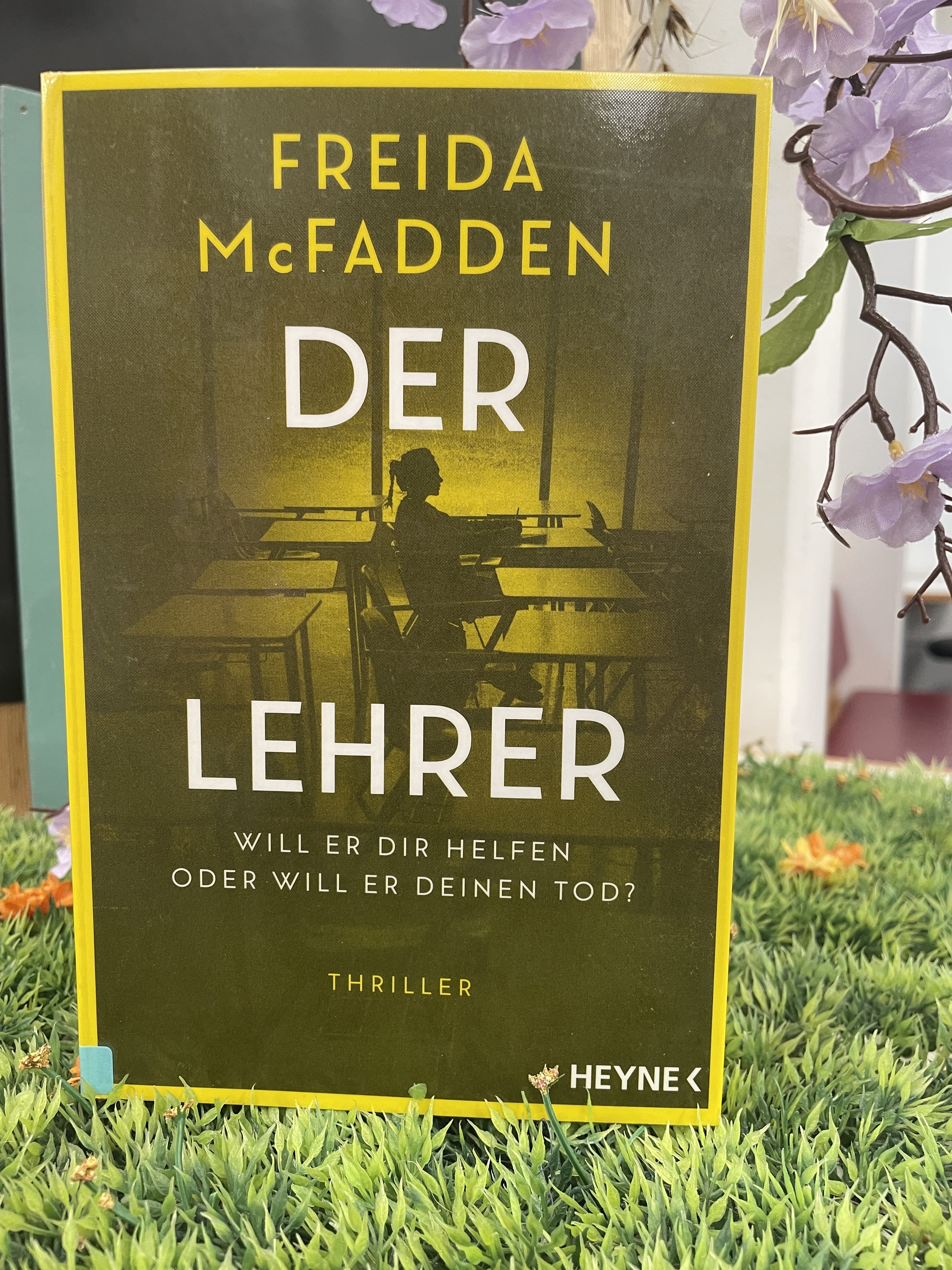 Freida McFadden, Der Lehrer