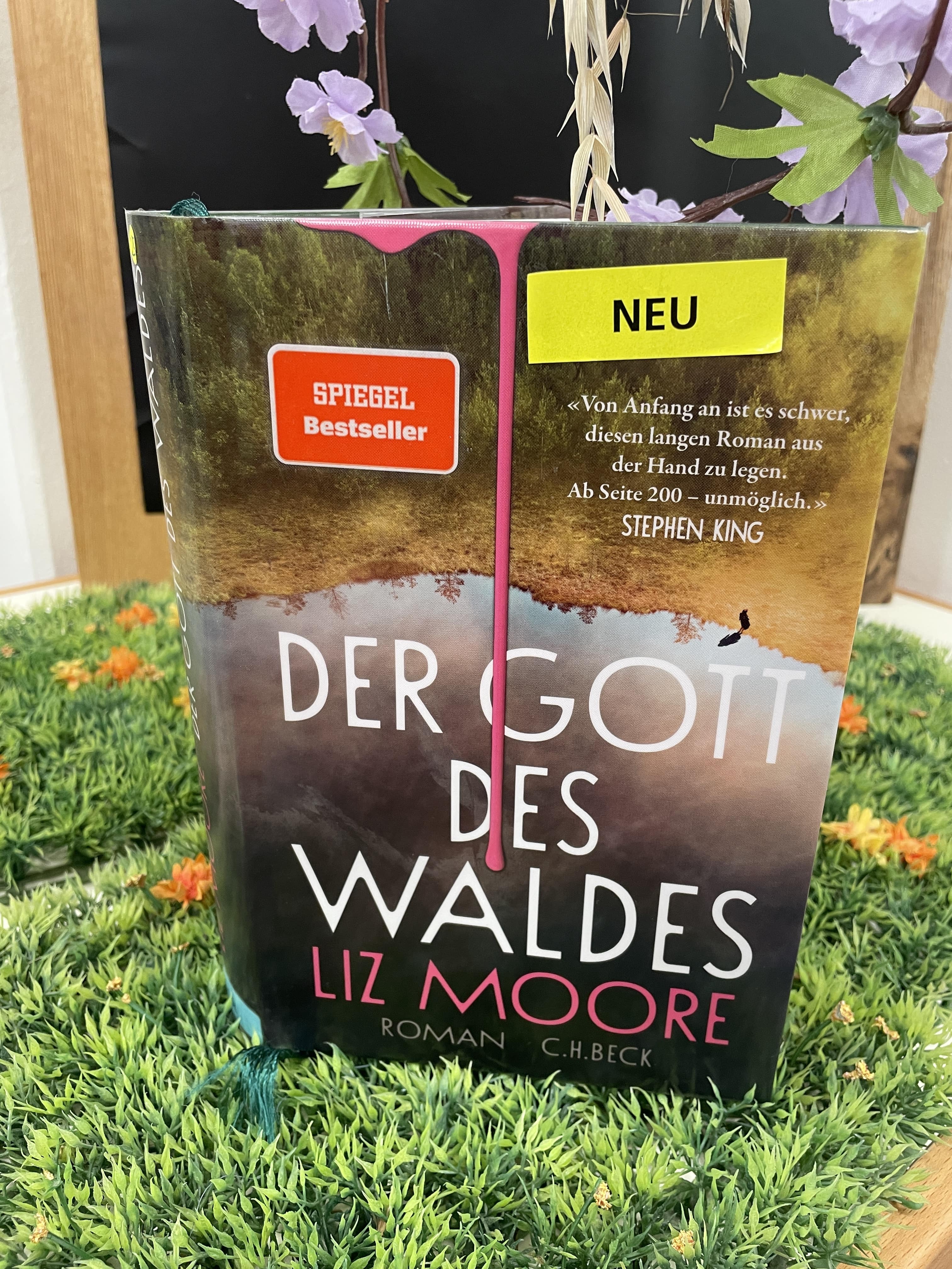 Liz Moore, Der Gott des Waldes