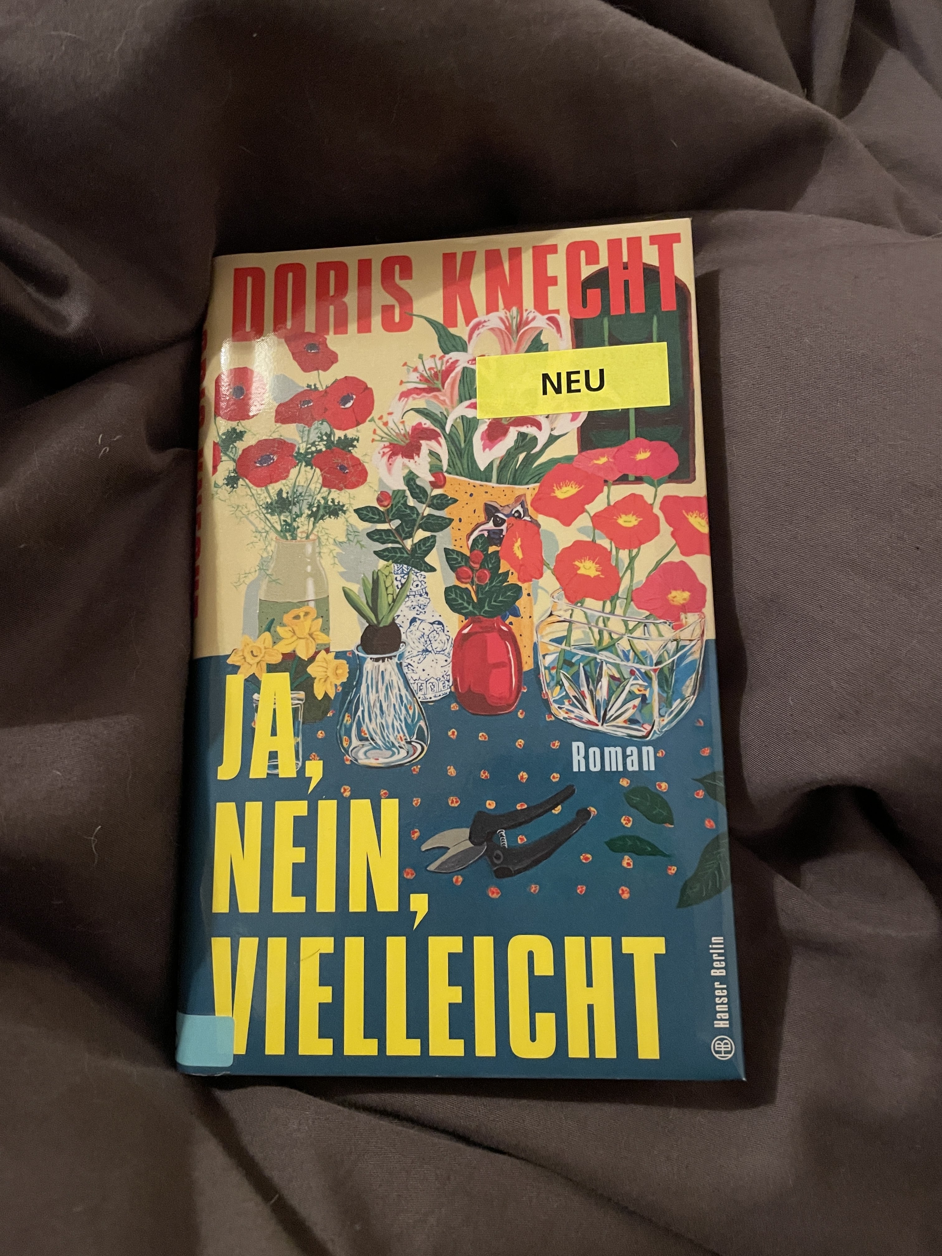 Doris Knecht, Ja, nein, vielleicht