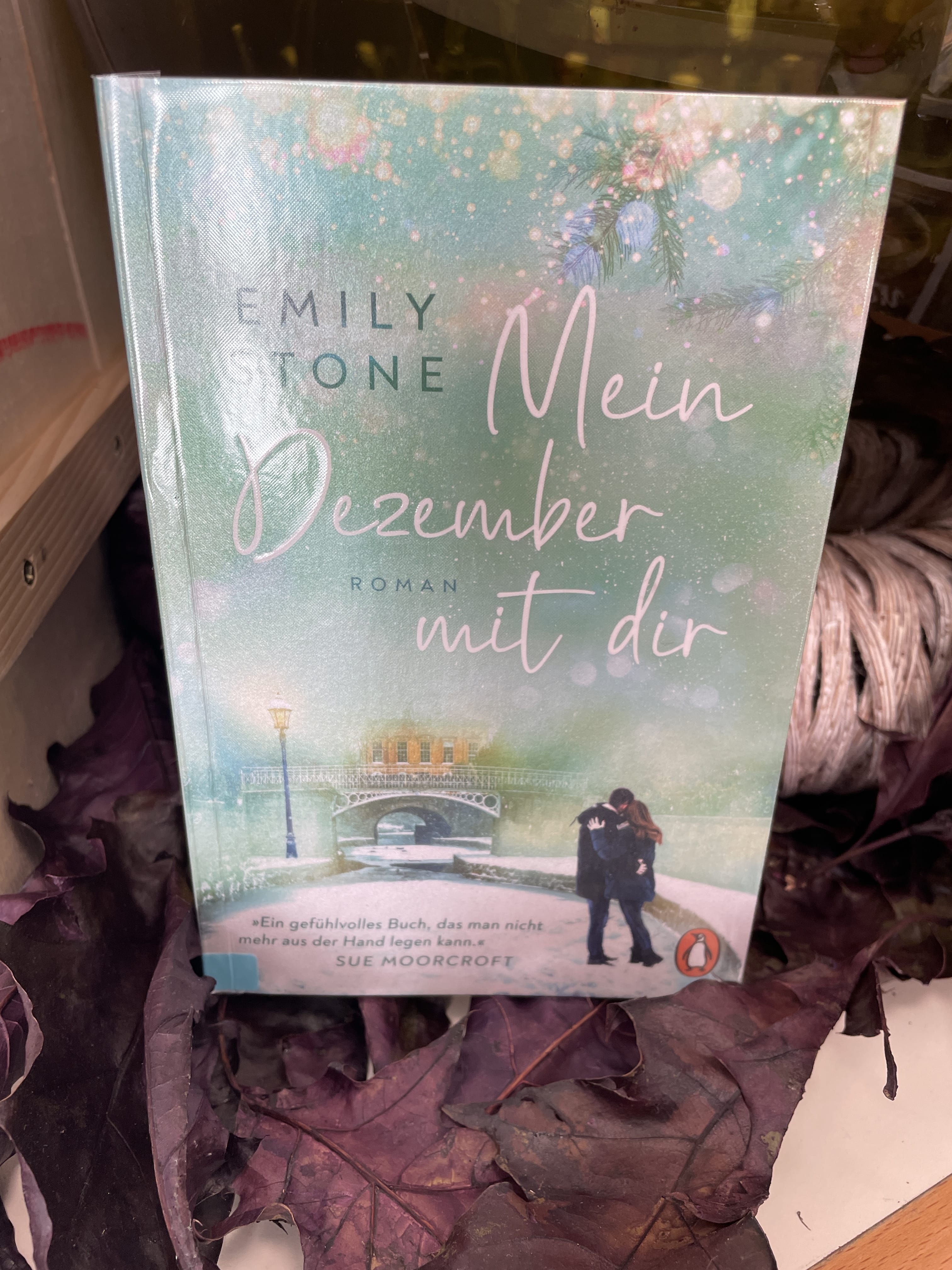 Emily Stone, Mein Dezember mit dir