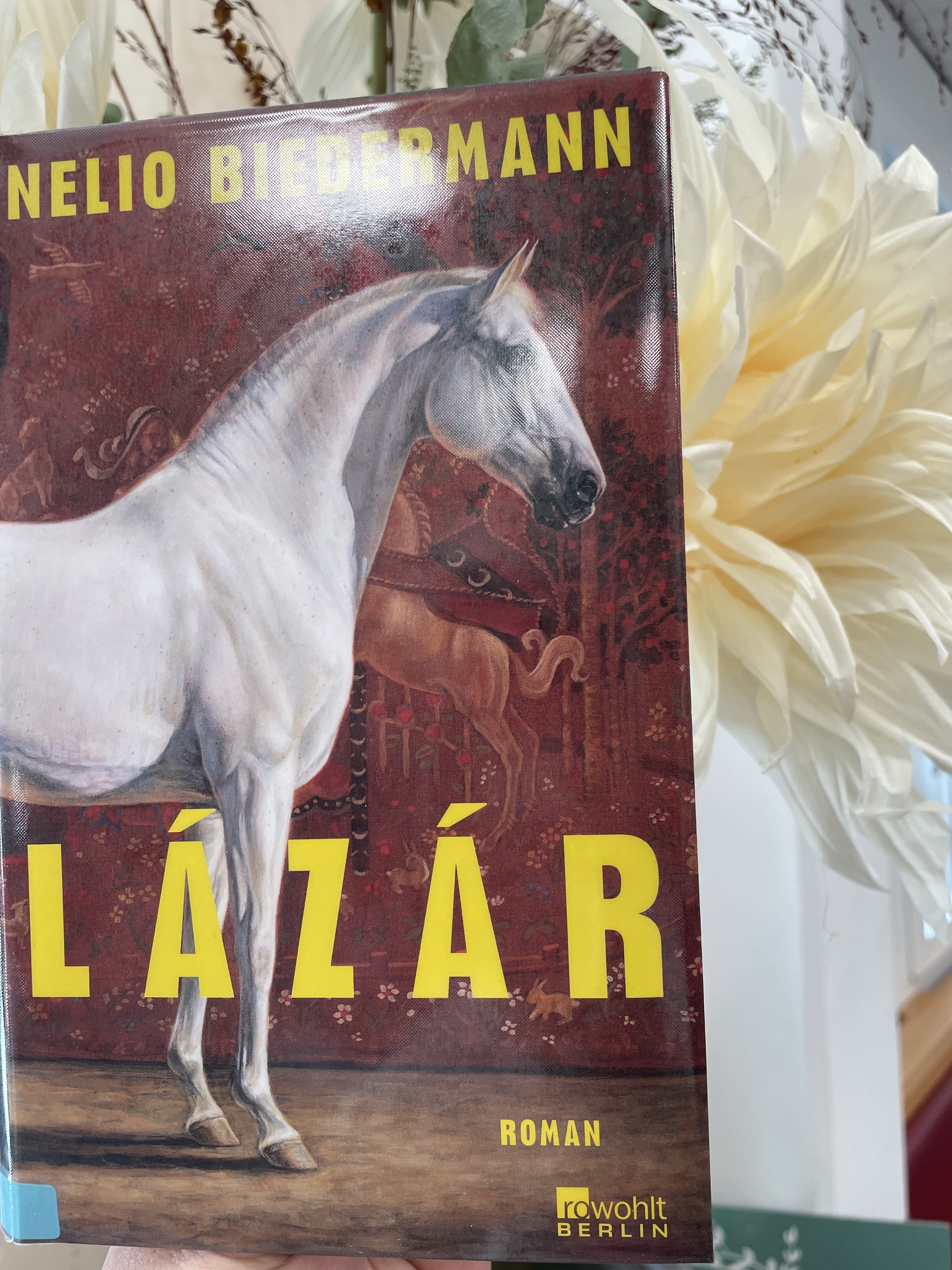 Nelio Biedermann, Lazar