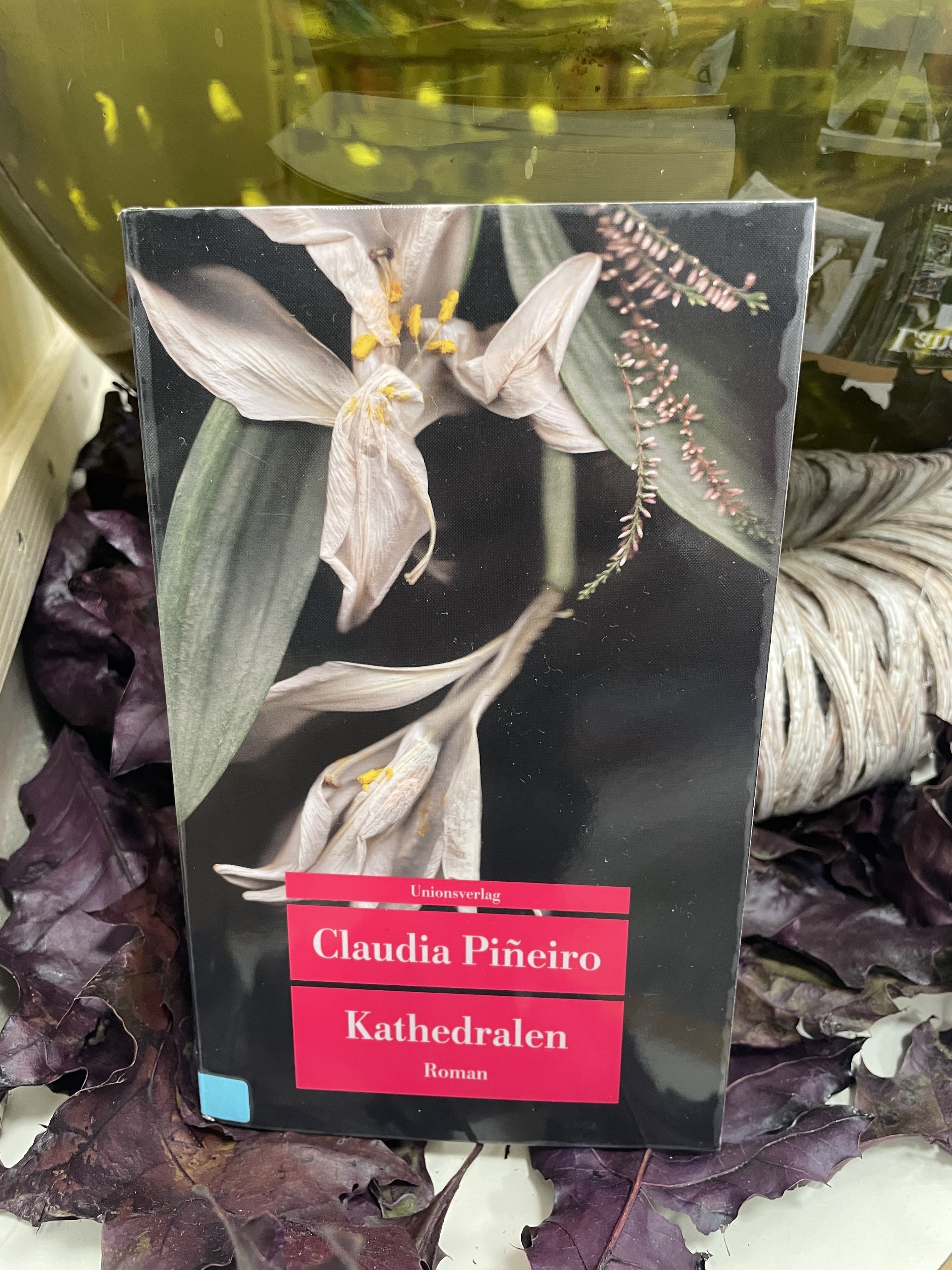 Claudia Pineiro, Kathedralen