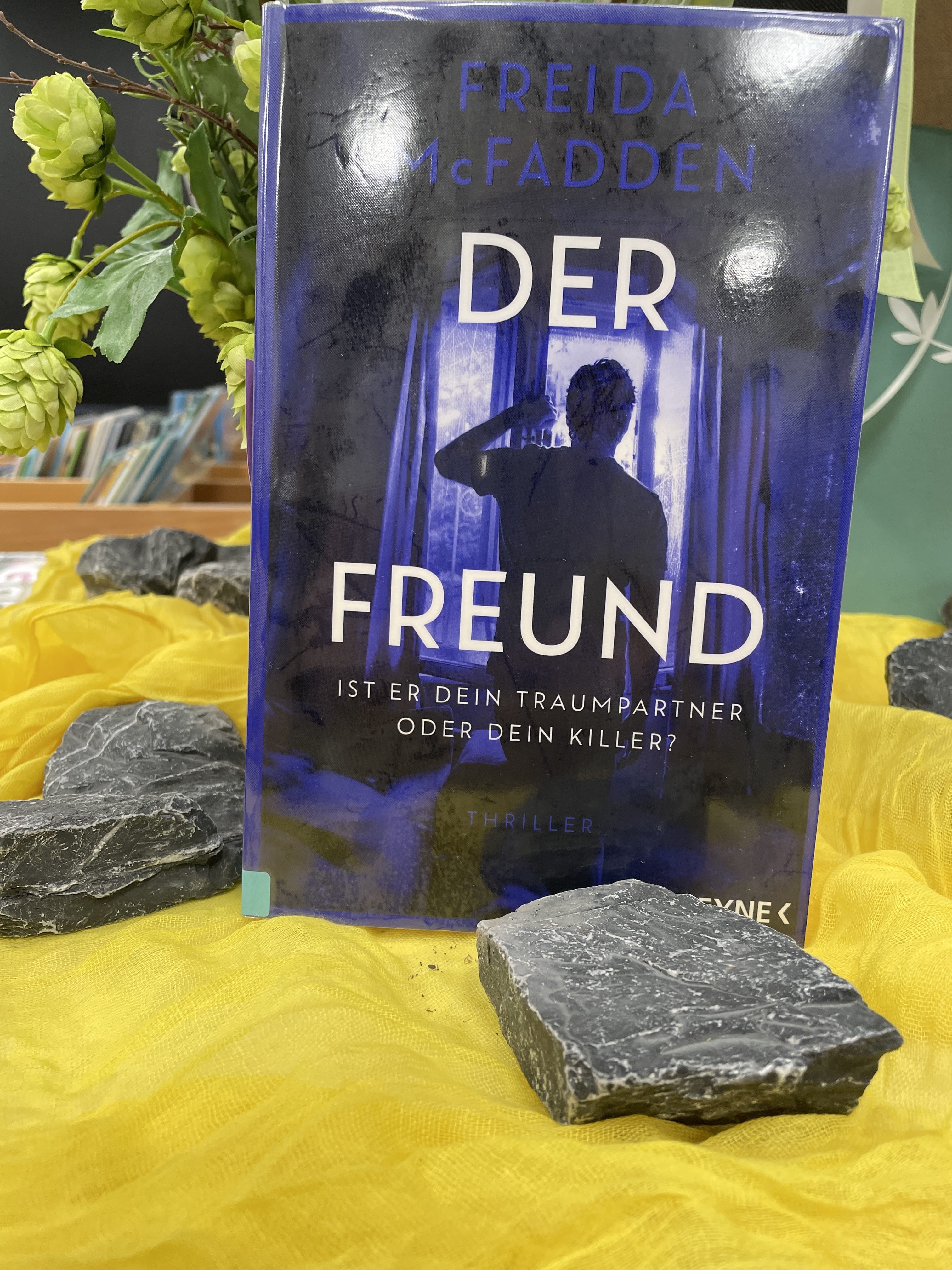 Freida McFadden, Der Freund
