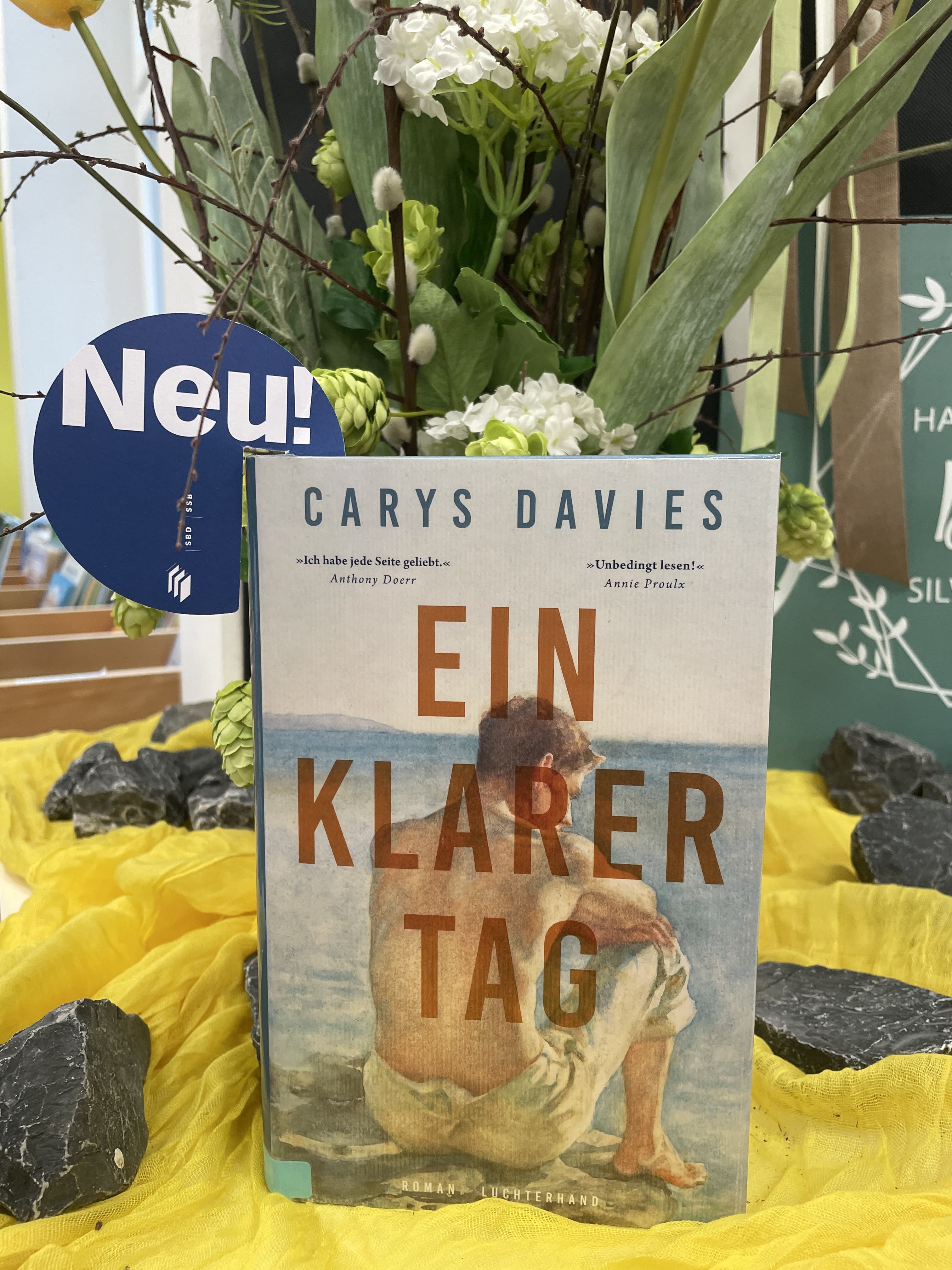 Carys Davis, Ein klarer Tag