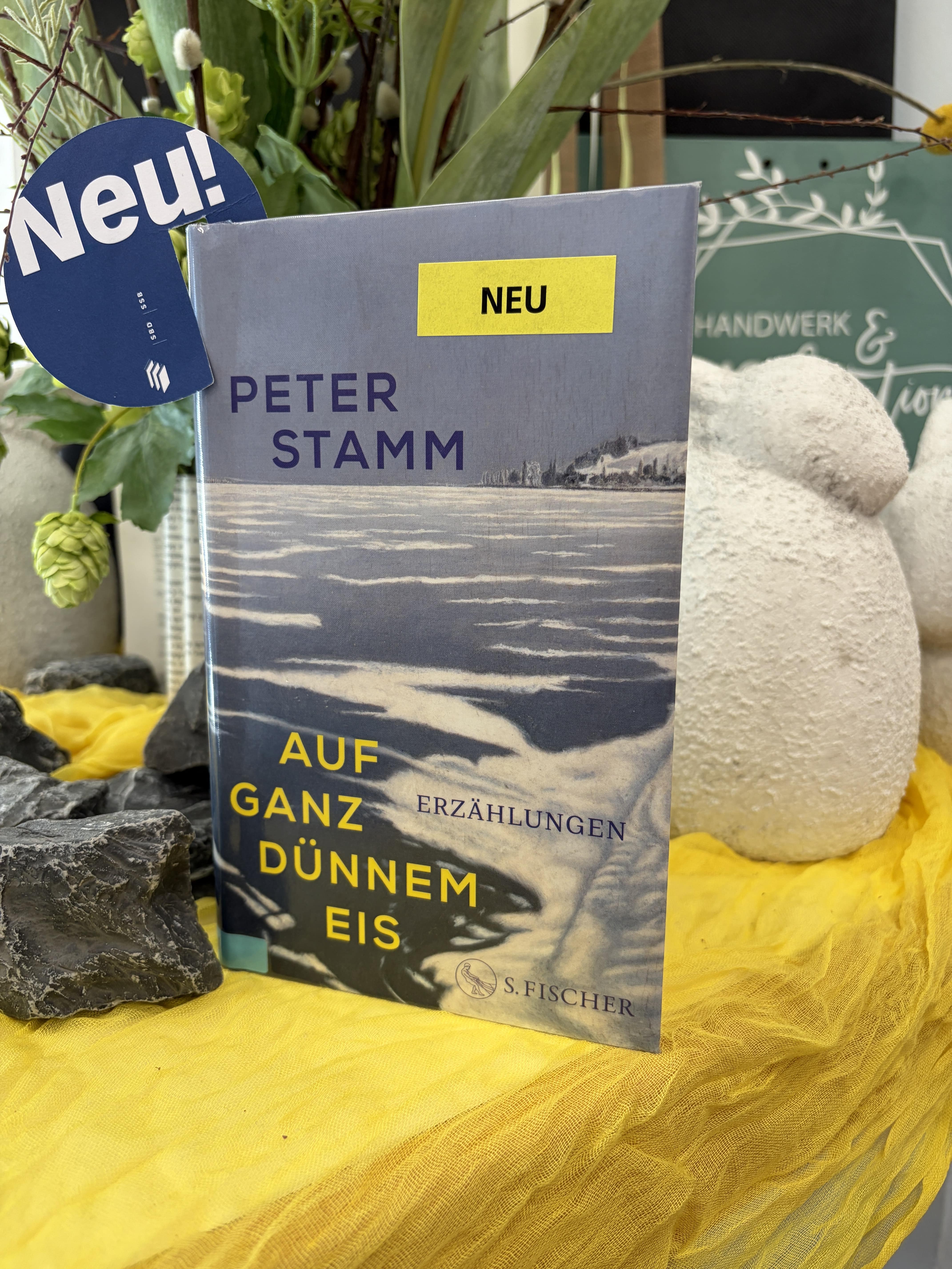 Peter Stamm, Auf ganz dünnem Eis