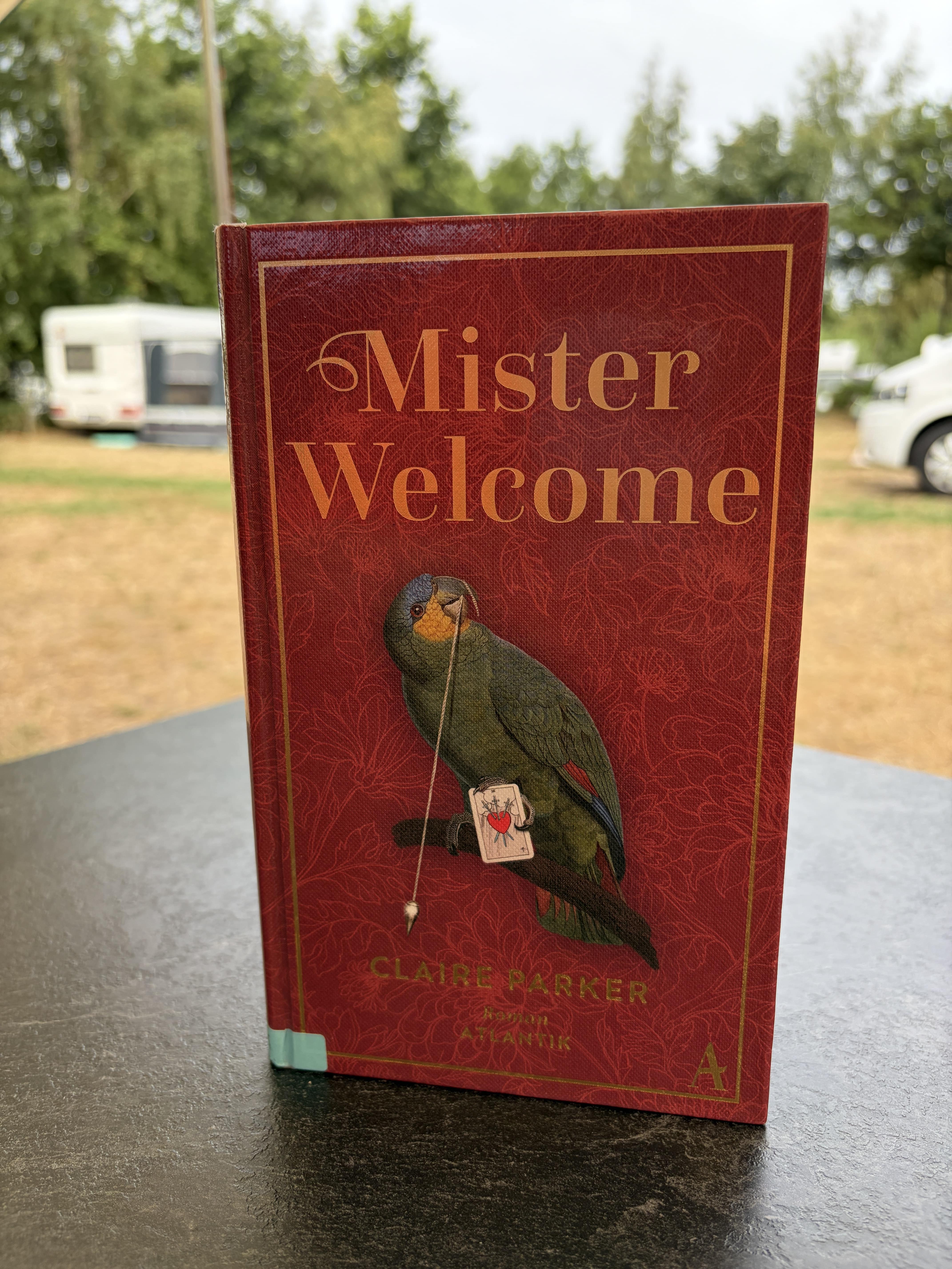 Ferienlektüre – Mister Welcome von Claire Parker